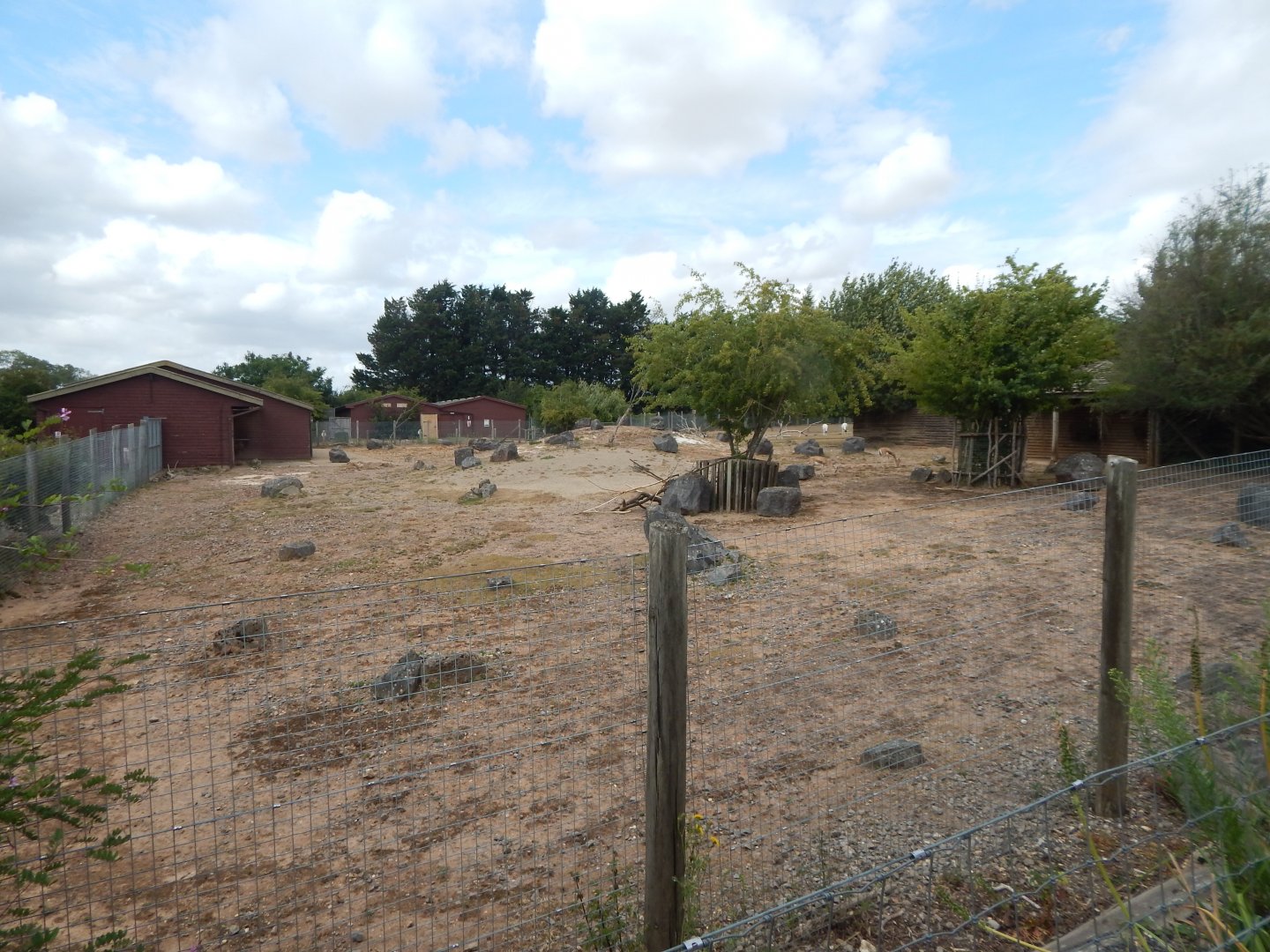 Addax and Saharan dorcas exhibit 150725