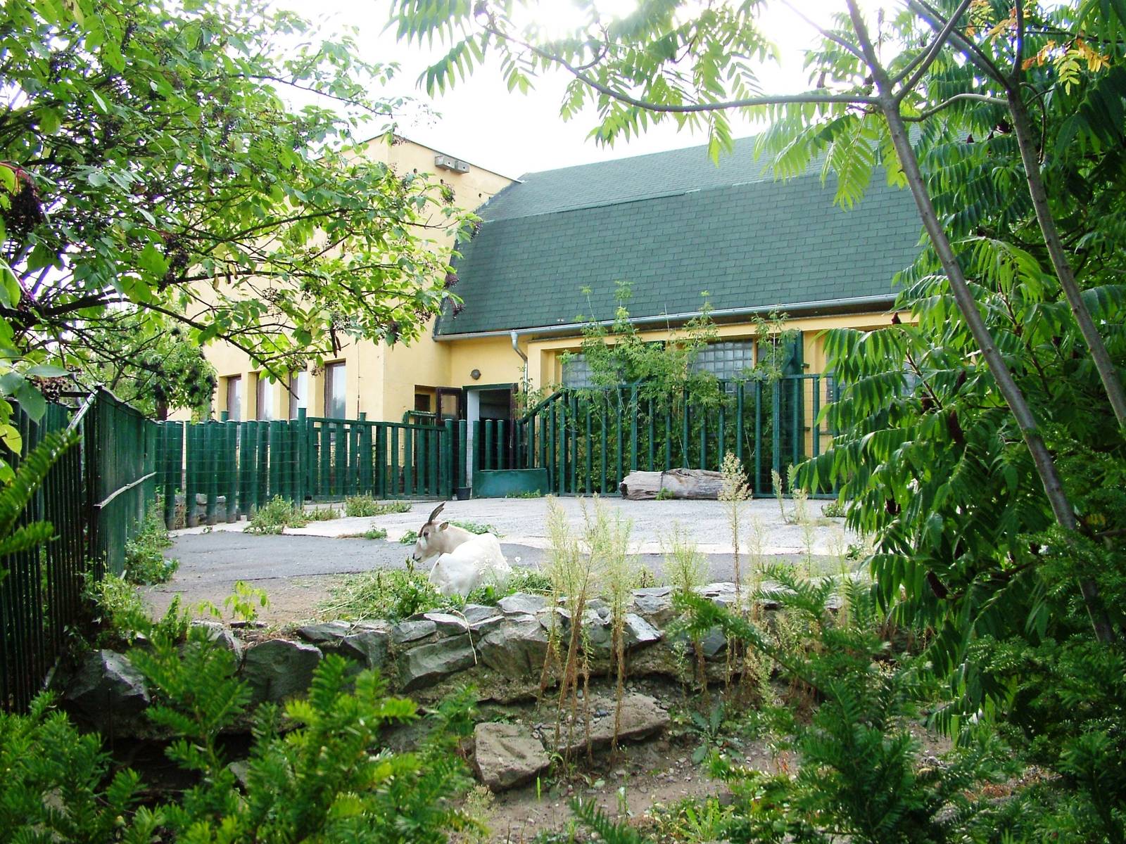 Addax Enclosure at Usti, 29/08/12