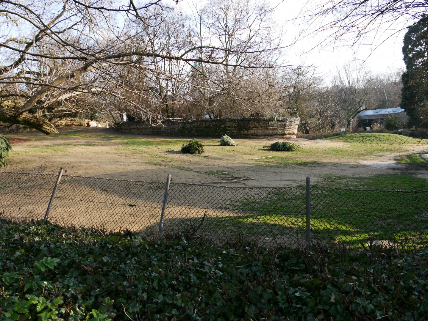 Addax enclosure (January 2019)