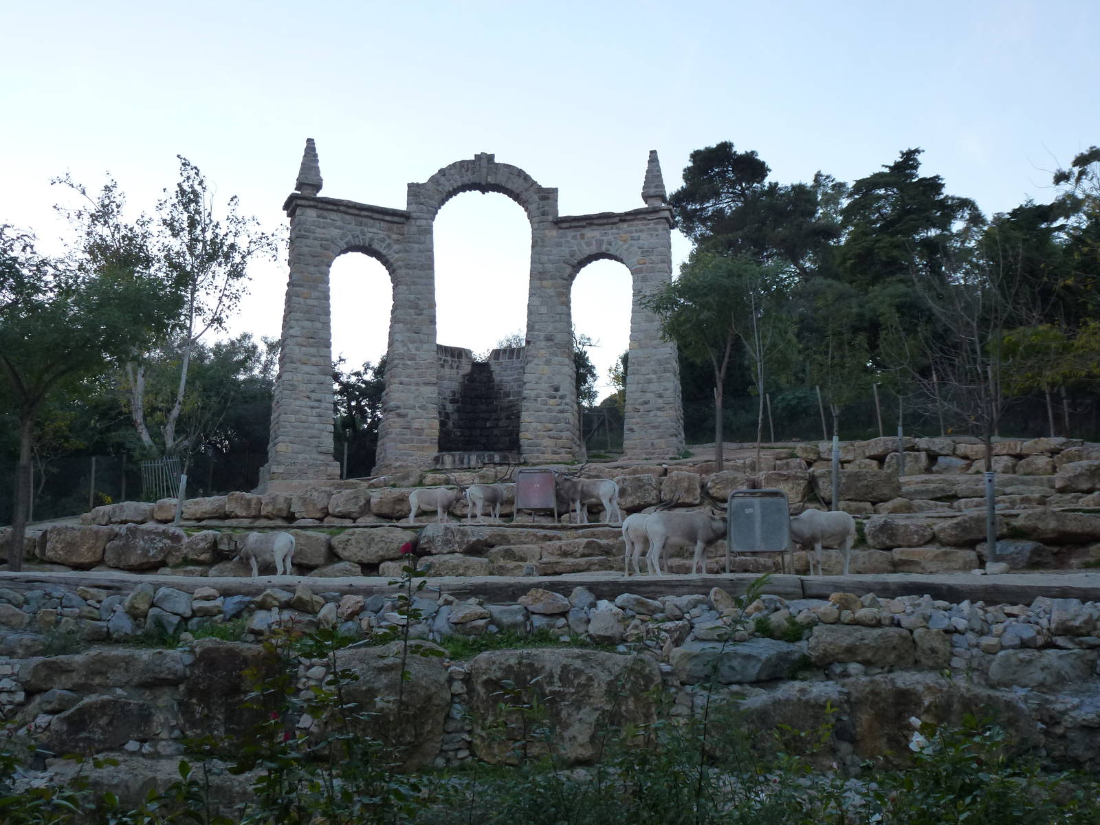Addax enclosure, November 2013.