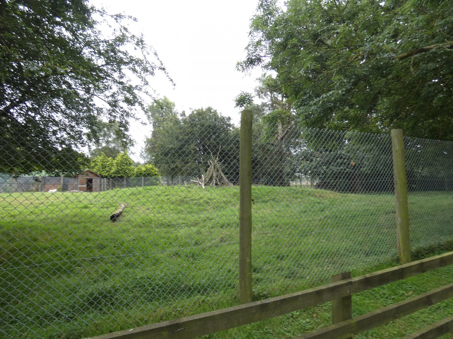 Addax enclosure