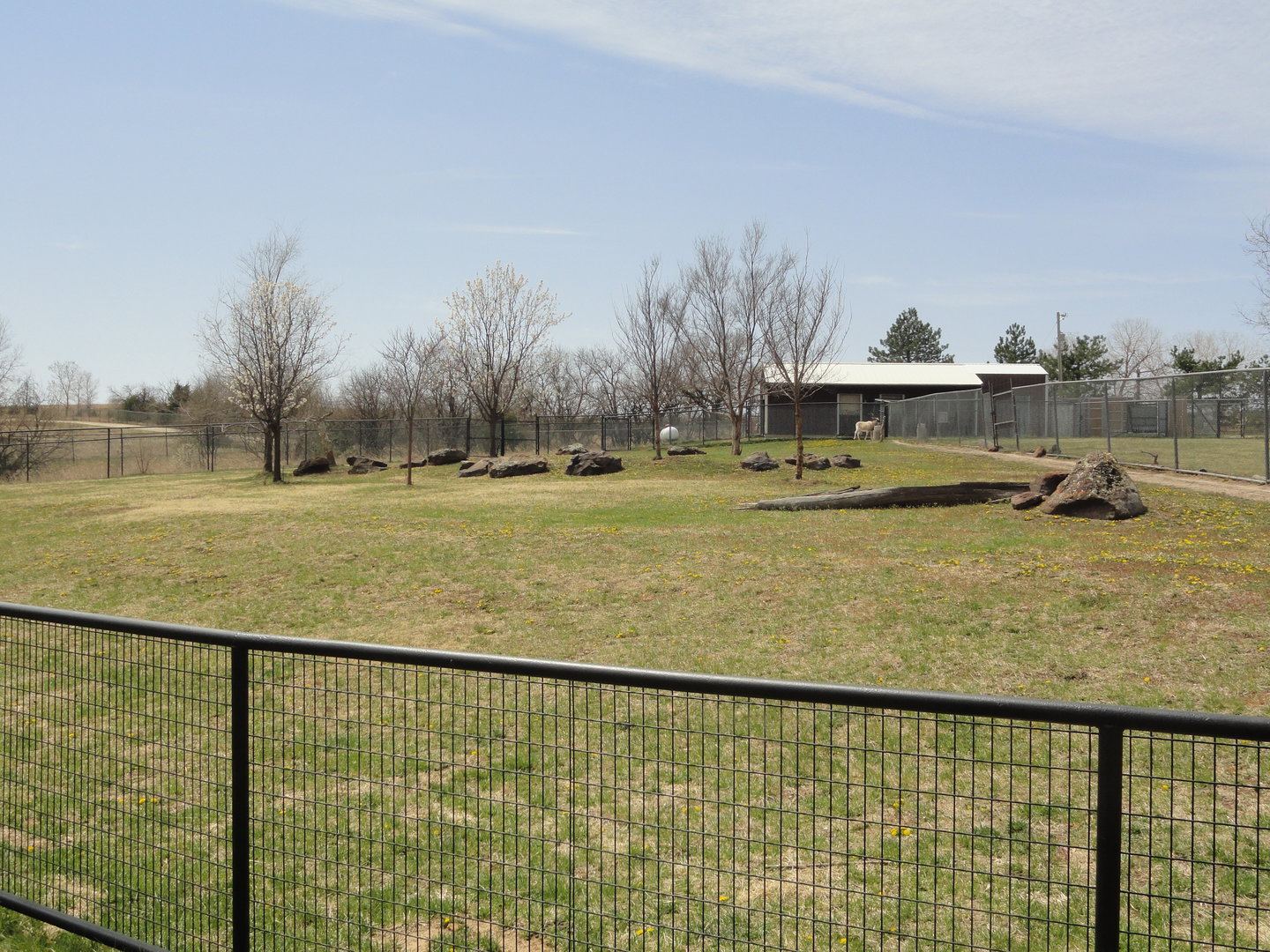 Addax Exhibit - South