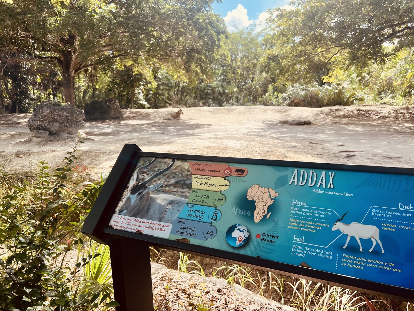Addax Exhibit