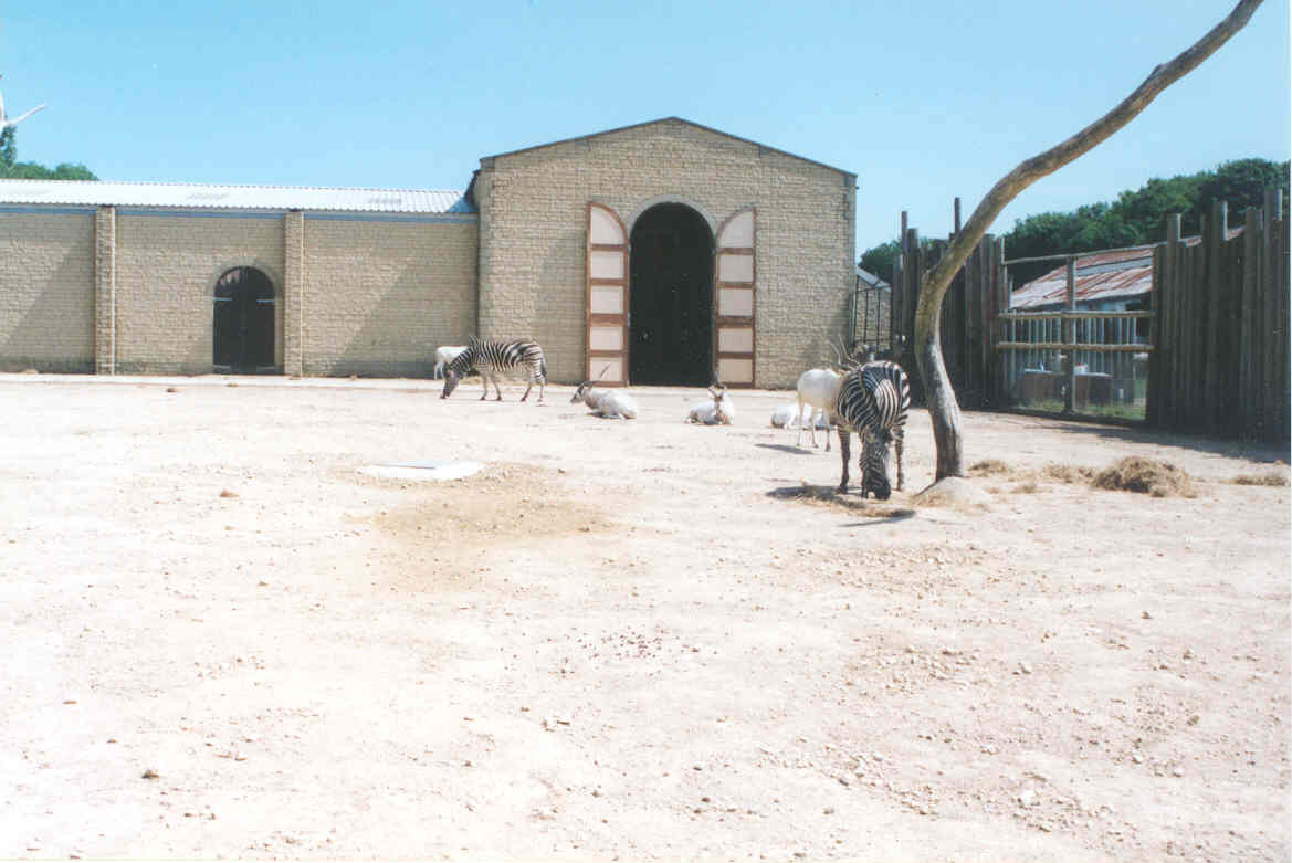 Addax, Giraffe, Ostrich, Zebra House - Heythrop 2003