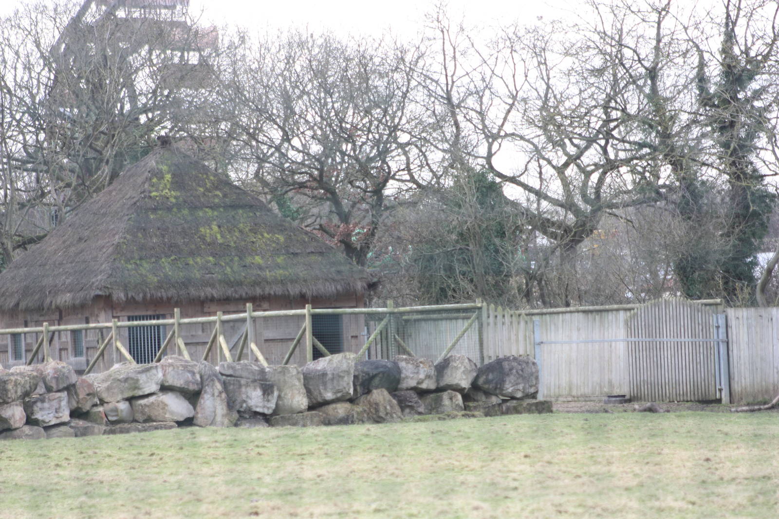 Addax house, 18th February 2015