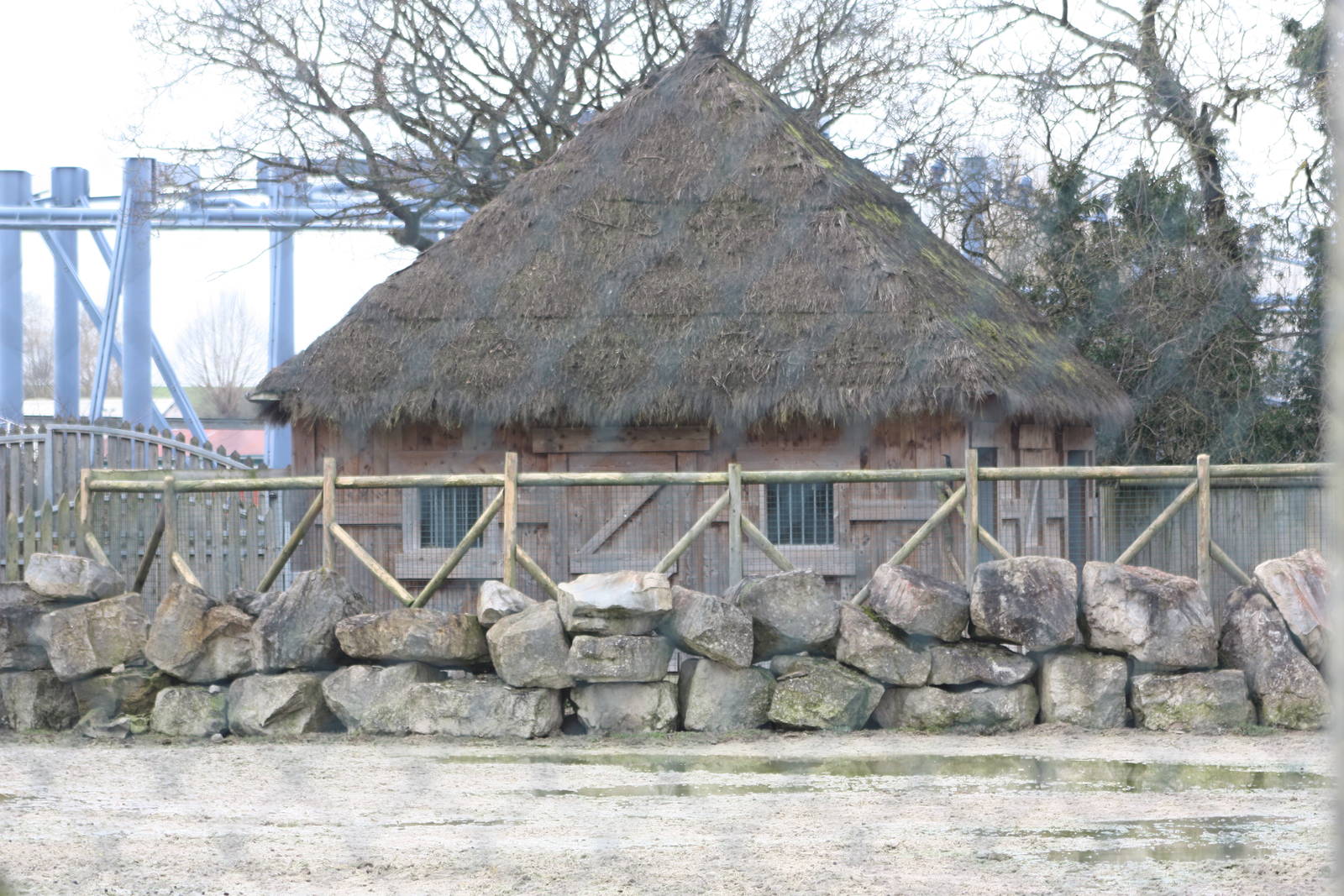 Addax house, 18th February 2015