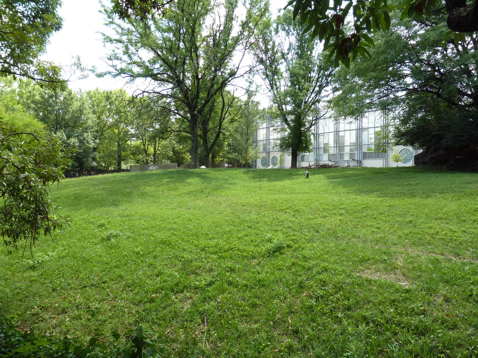 Addax/Mhorr Gazelle/African Crowned Crane/Saddle-Billed Stork Exhibit