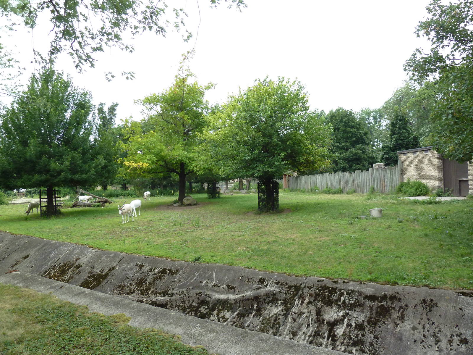 Addax/Roan Antelope Exhibit
