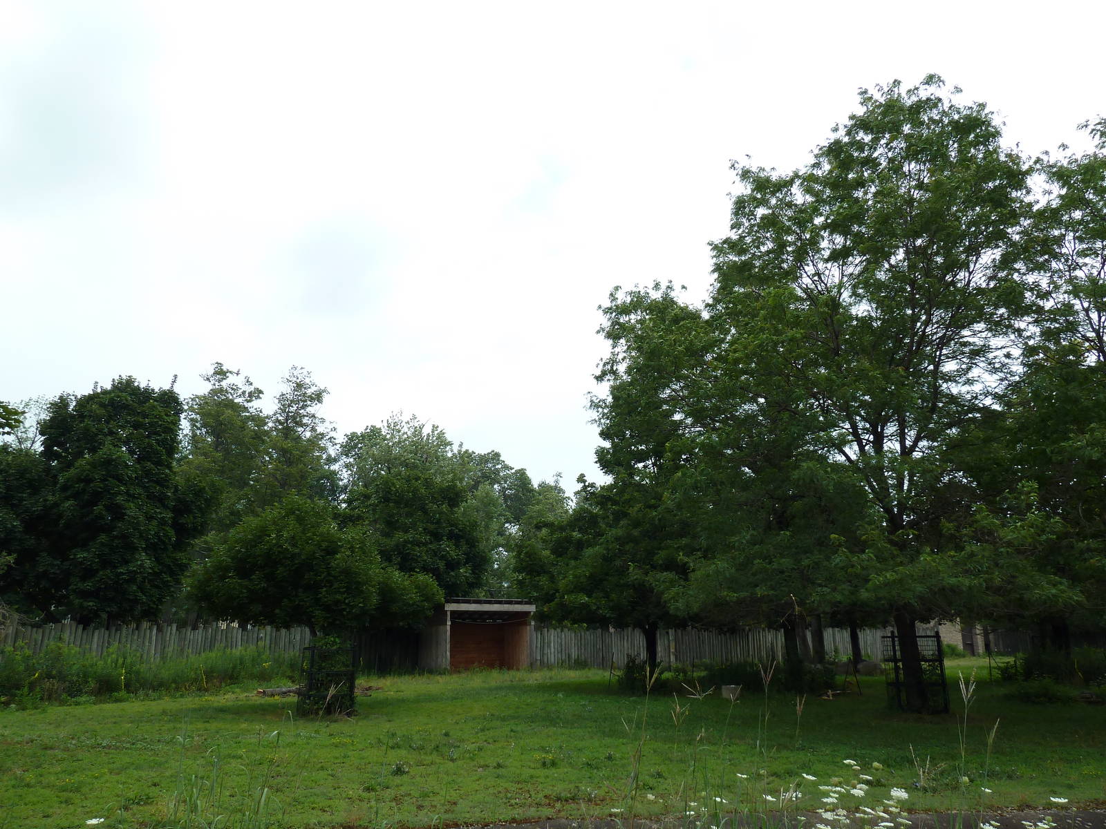 Addax/Roan Antelope Exhibit
