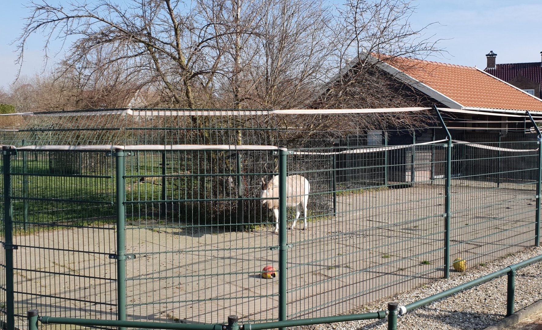 Addax seperation enclosure and stable