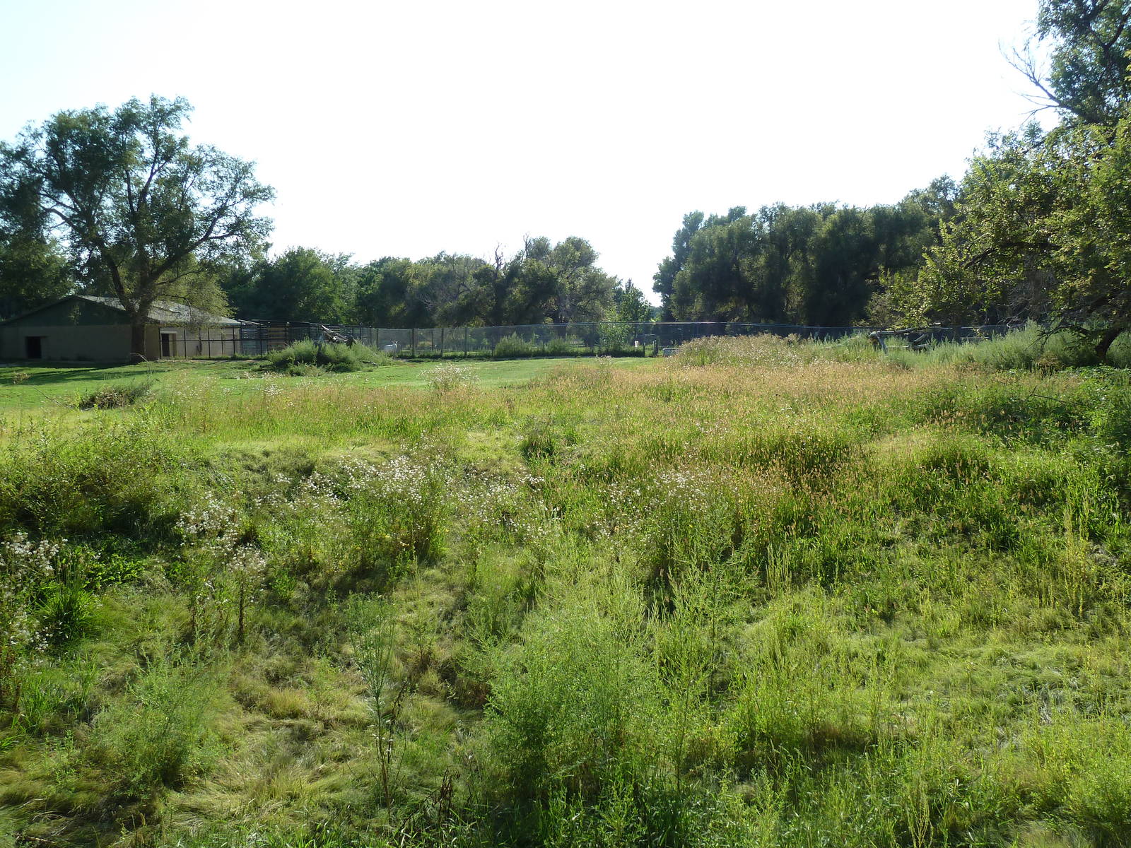 Addax/Stanley Crane/East African Crowned Crane Exhibit