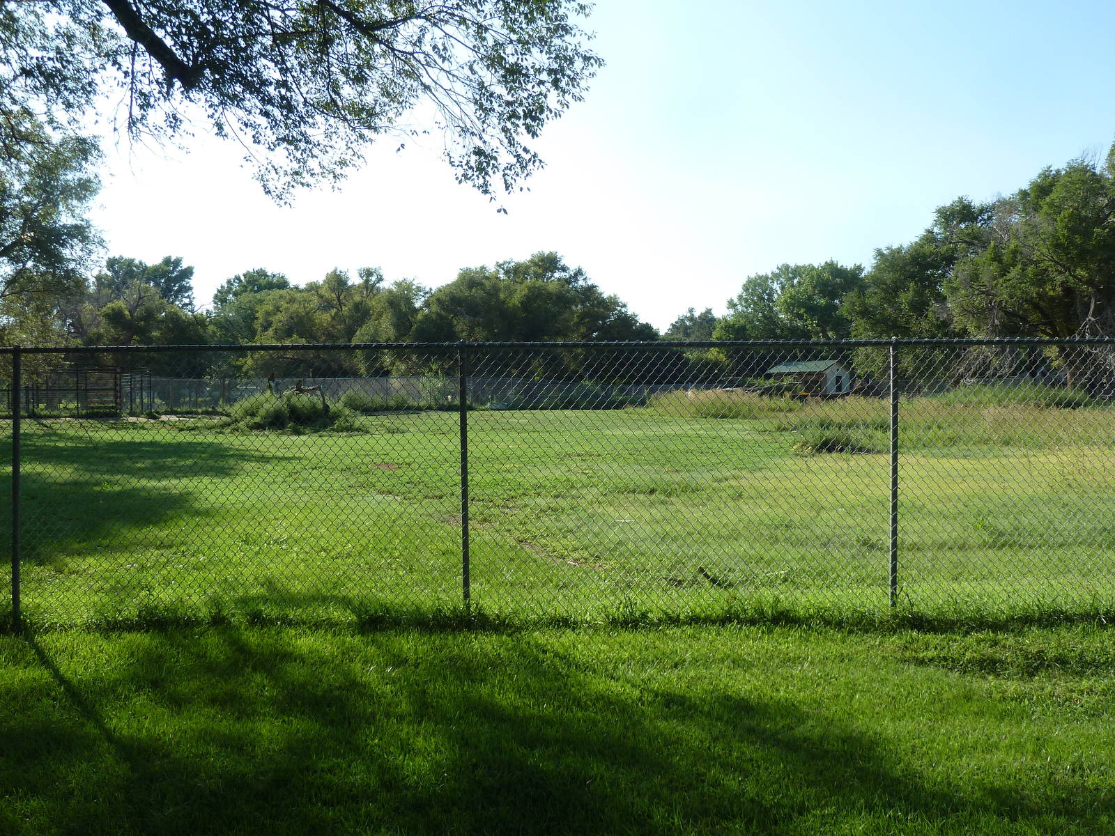 Addax/Stanley Crane/East African Crowned Crane Exhibit