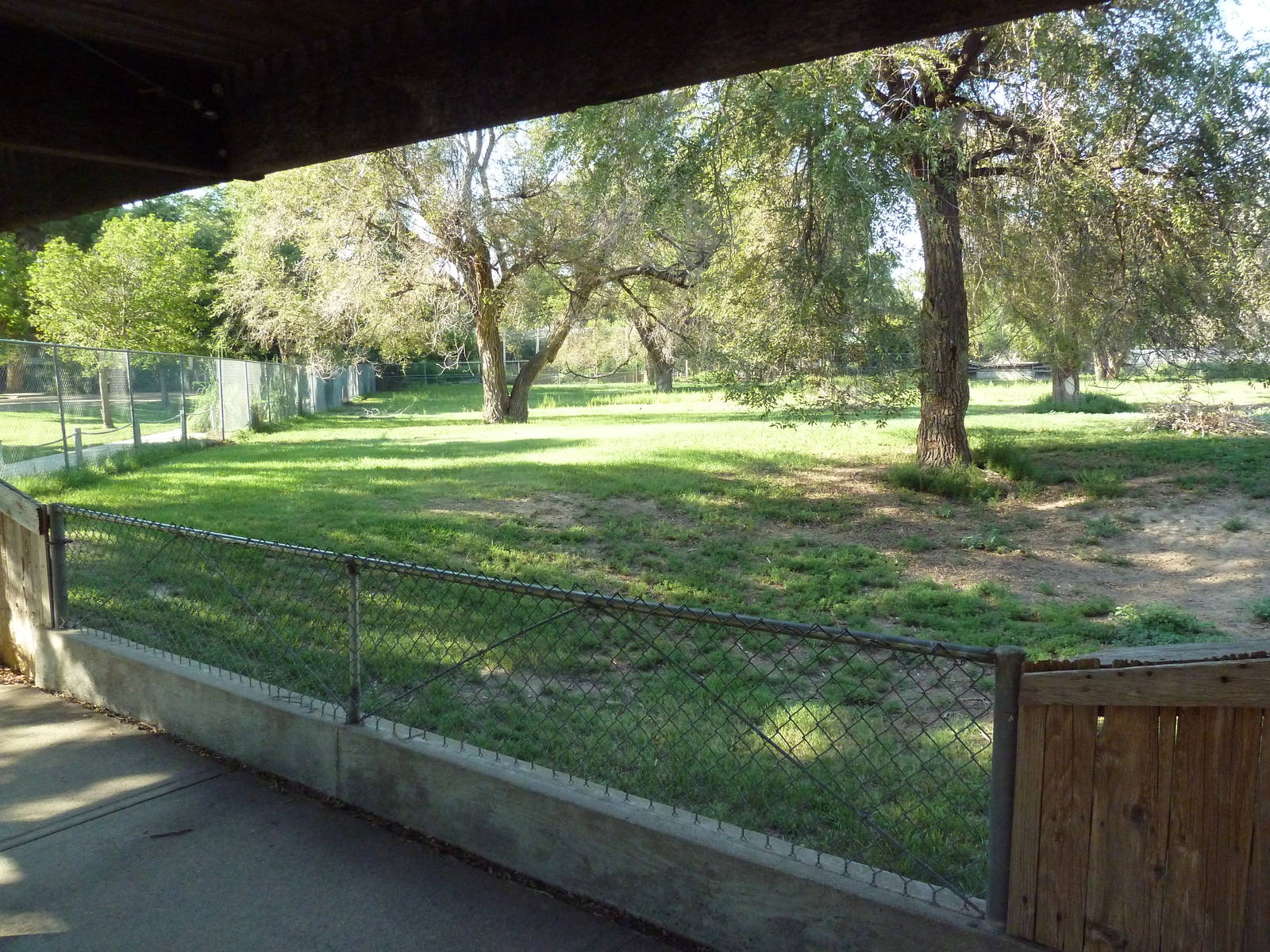 Addax/Stanley Crane/East African Crowned Crane Exhibit