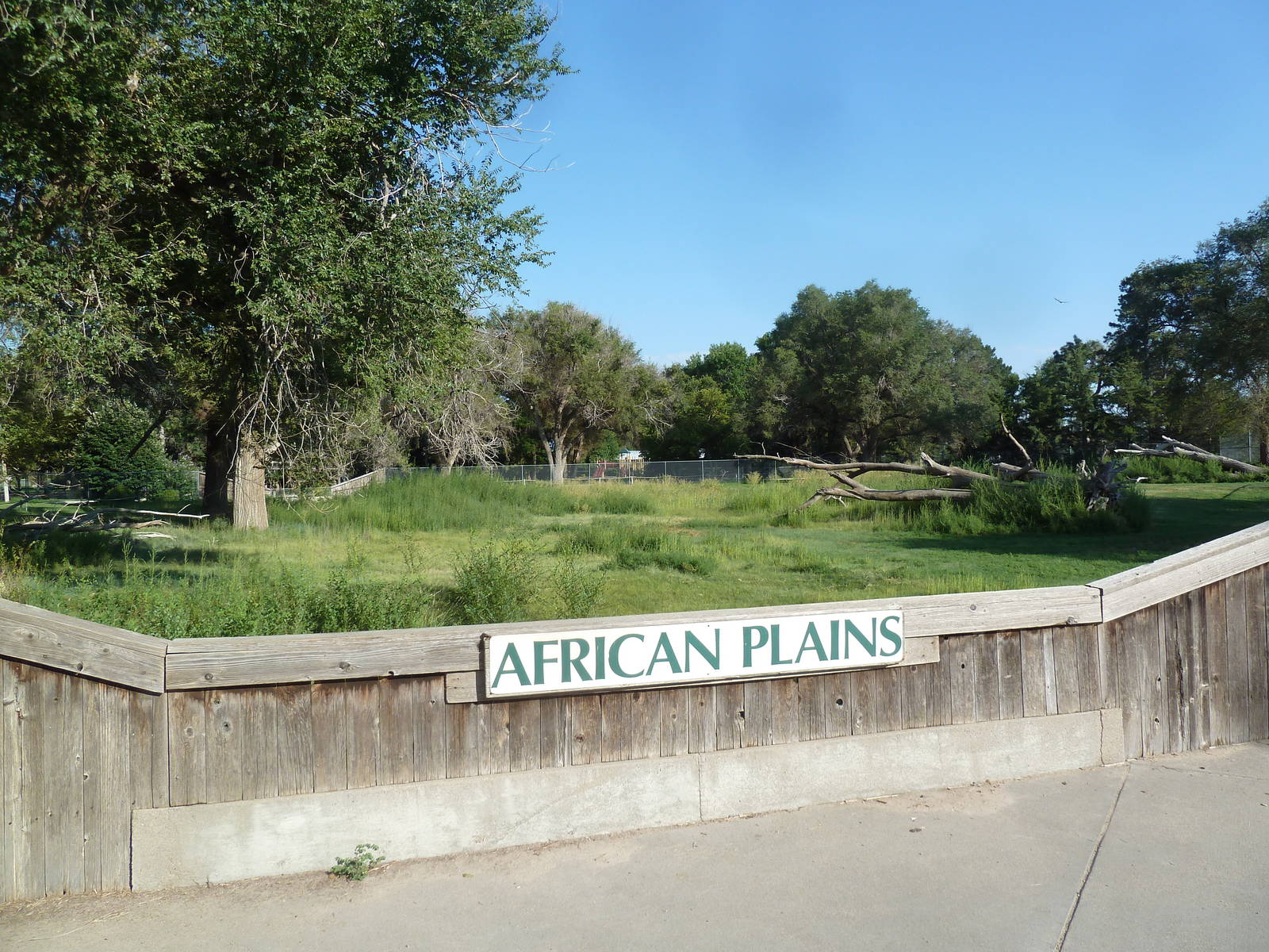 Addax/Stanley Crane/East African Crowned Crane Exhibit