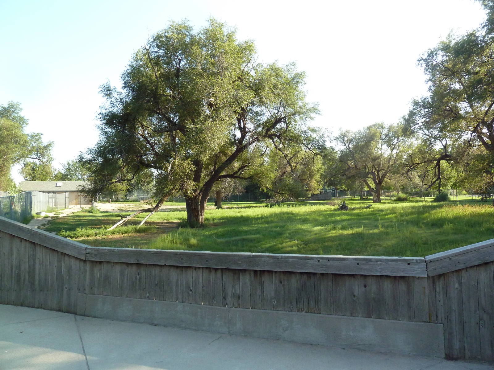 Addax/Stanley Crane/East African Crowned Crane Exhibit