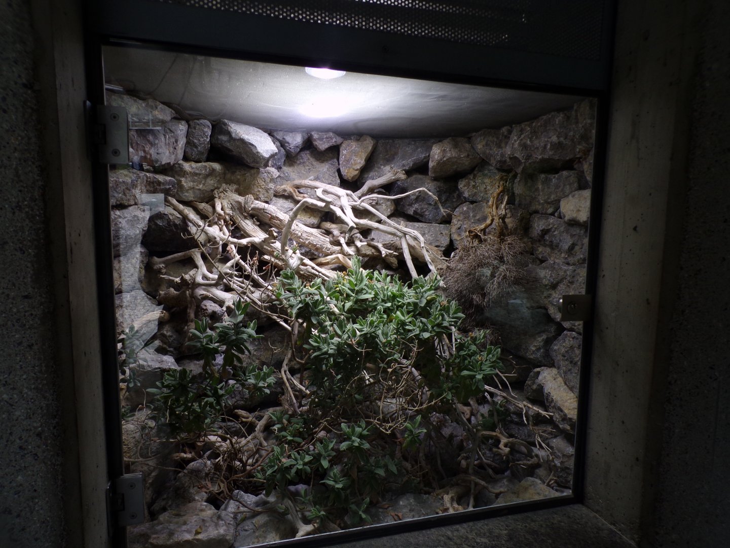 Adder enclosure 9.7.25