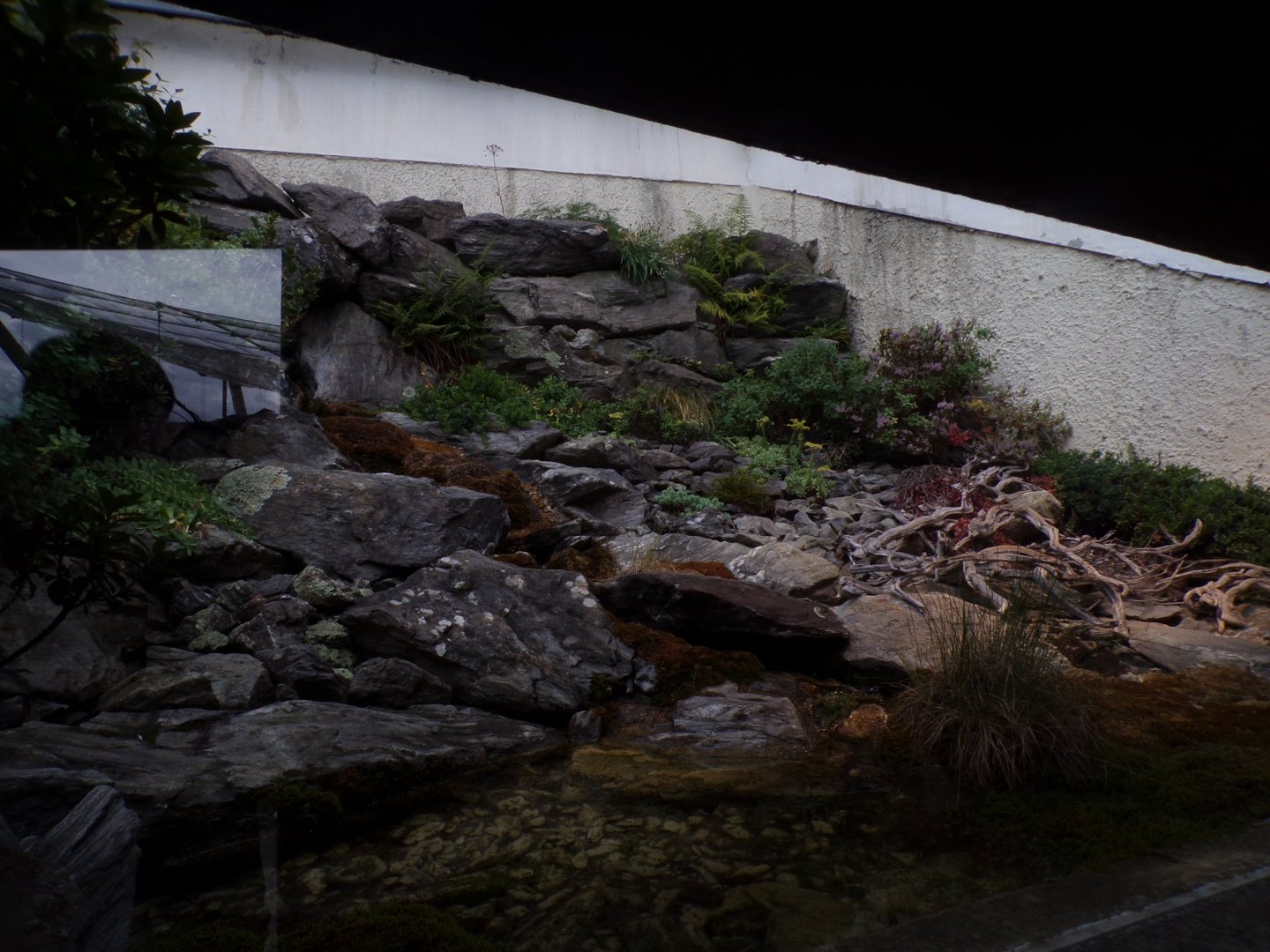 Adder enclosure 9.7.25