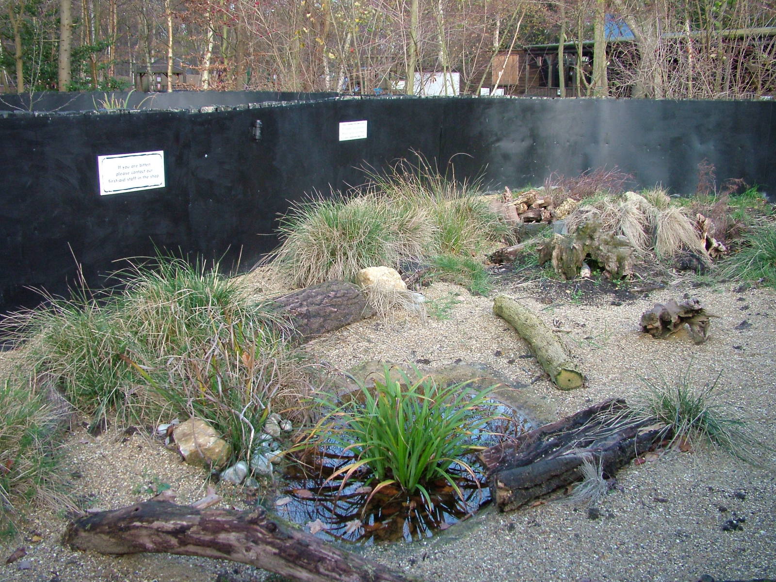 Adder enclosure at Wildwood 28/11/09