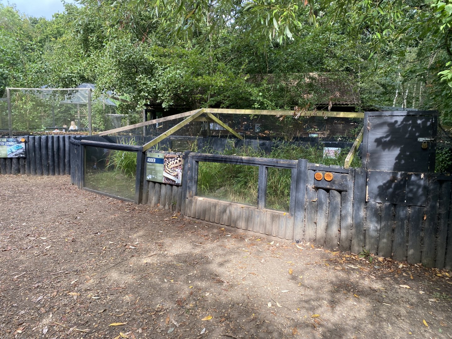 Adder outdoor exhibit 030924
