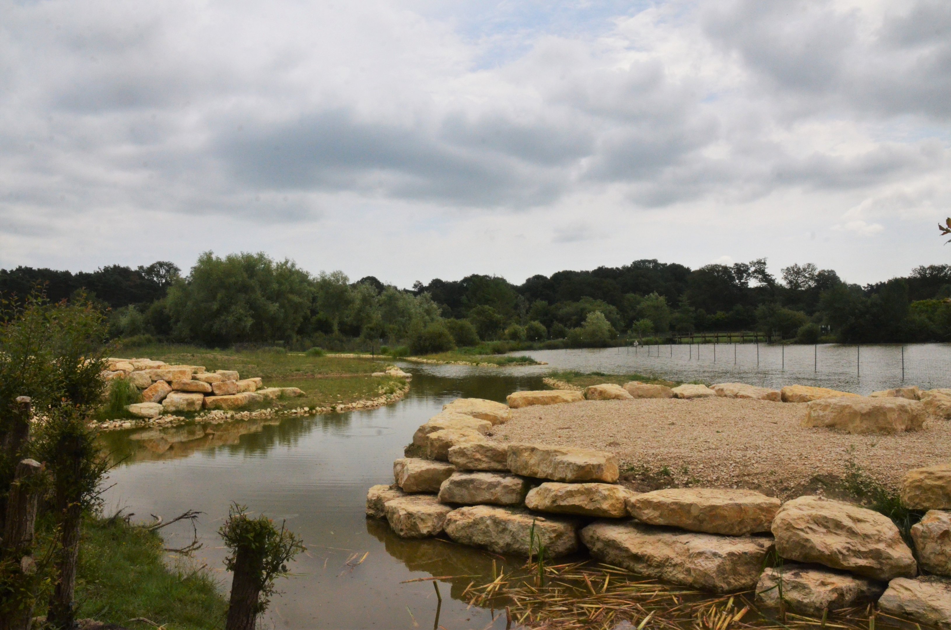 Additional Baboon Enclosure Site at Haute-Touche, 14/06/18