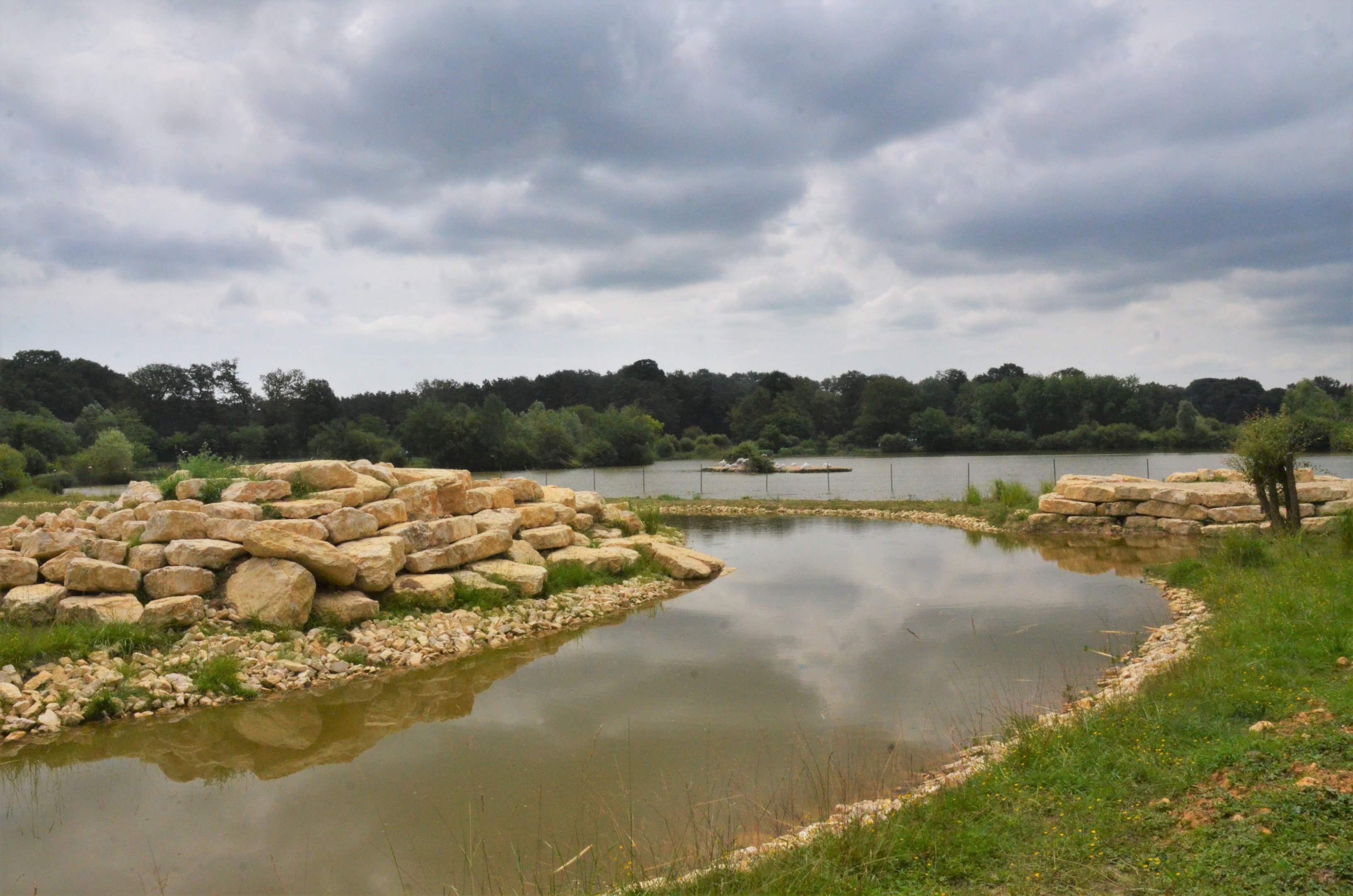 Additional Baboon Enclosure Site at Haute-Touche, 14/06/18