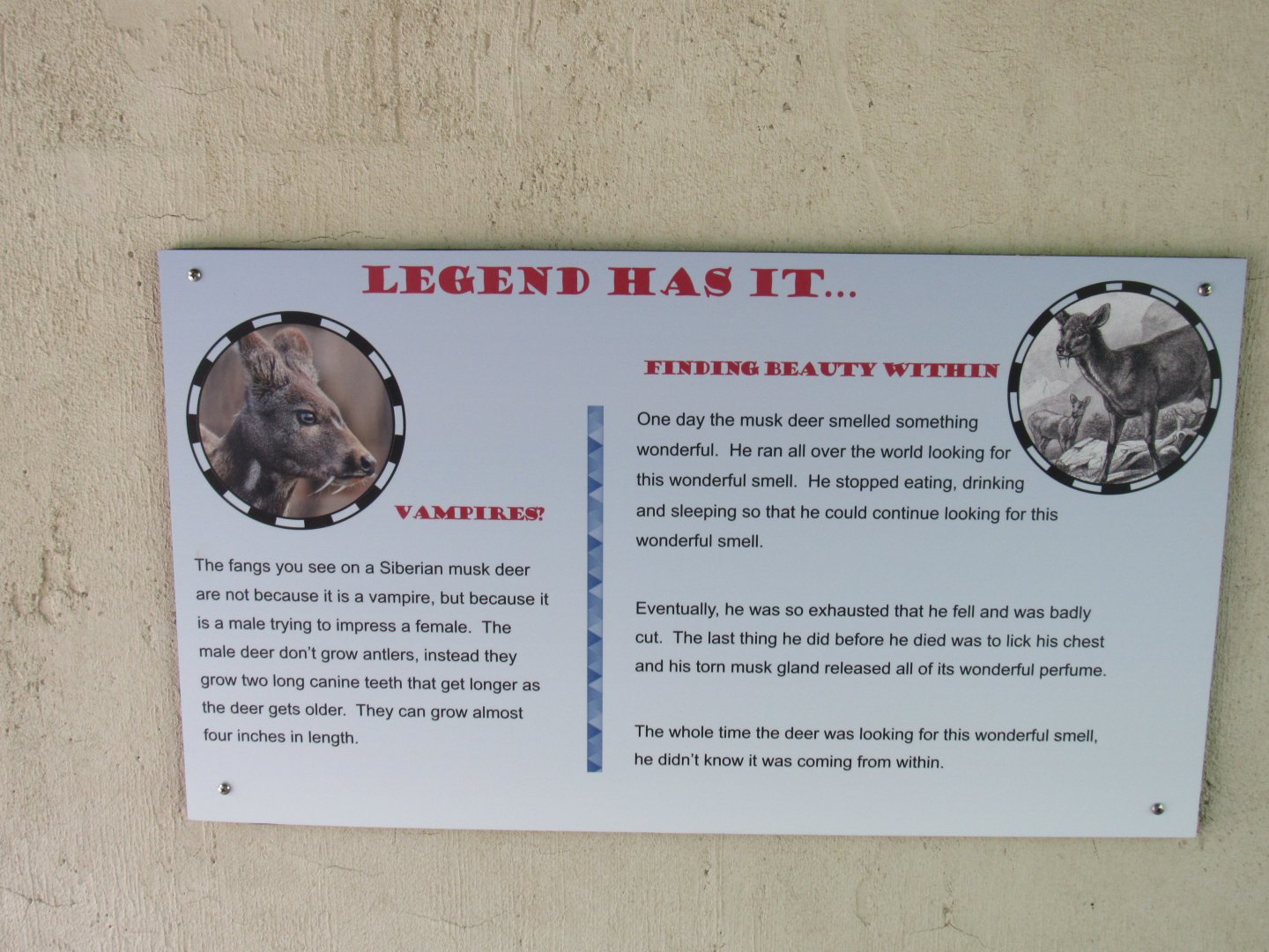 Additional Sign at Musk Deer Exhibit