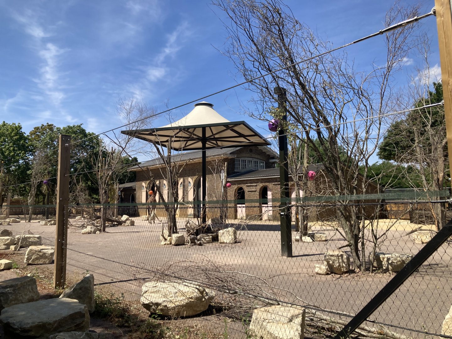 Additions to giraffe exhibit