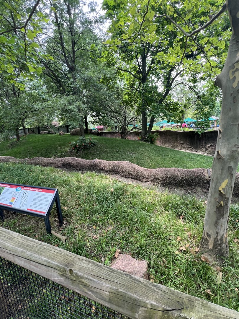 Addra Gazelle/East African Crowned Crane Exhibit