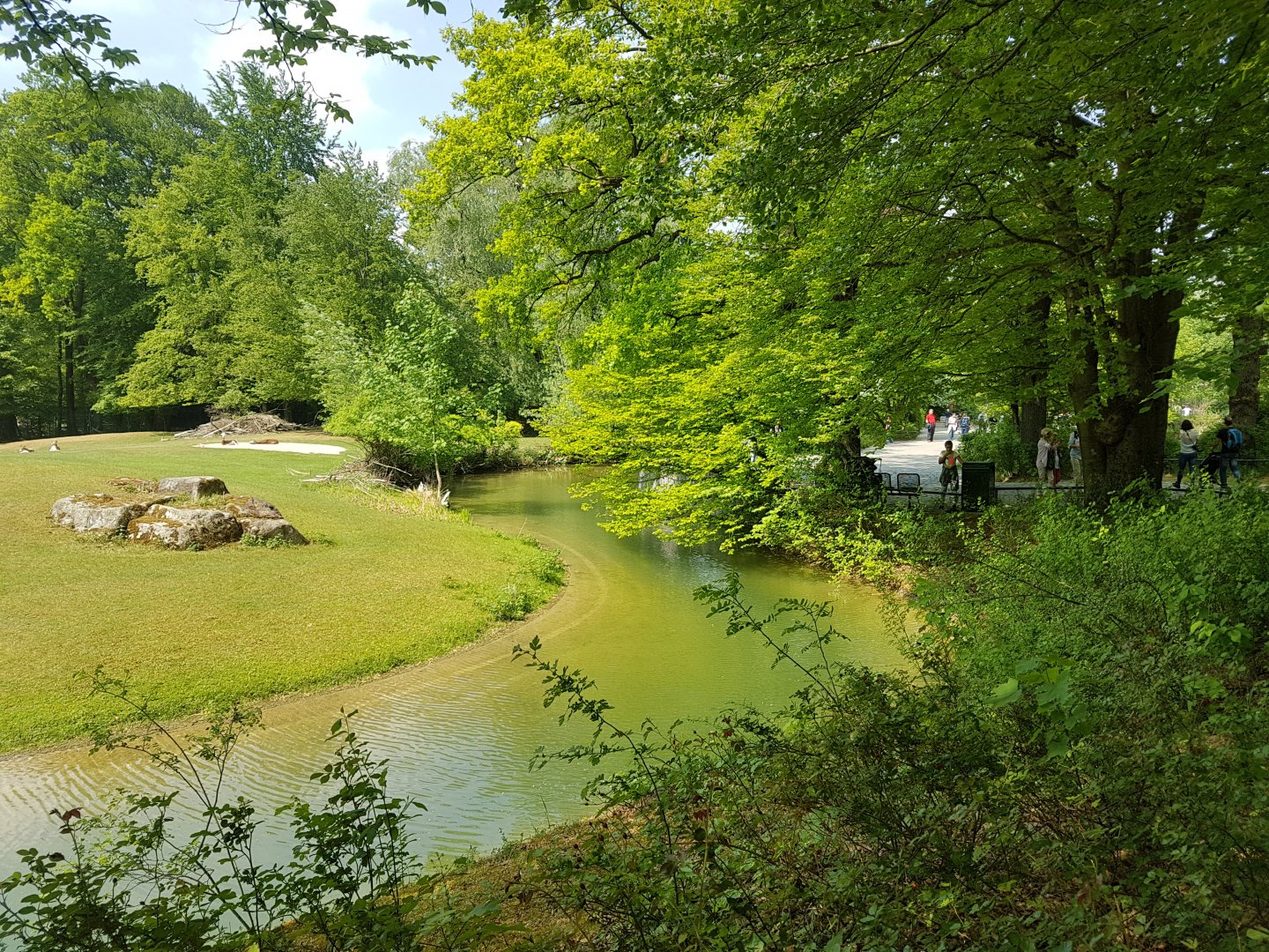 Addra Gazelle Exhibit