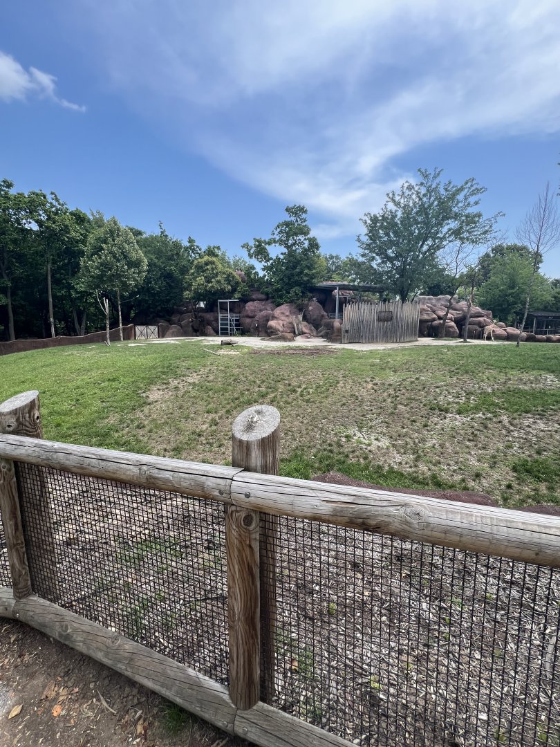 Addra Gazelle/Giraffe Exhibit