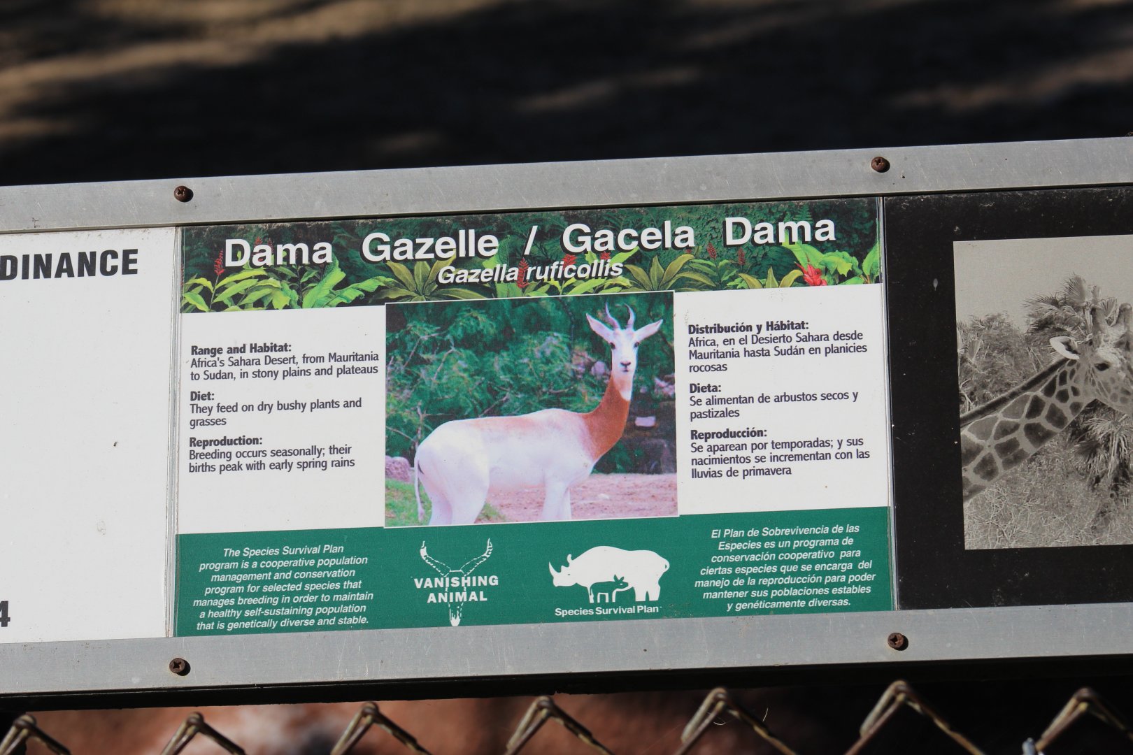 Addra Gazelle Signage