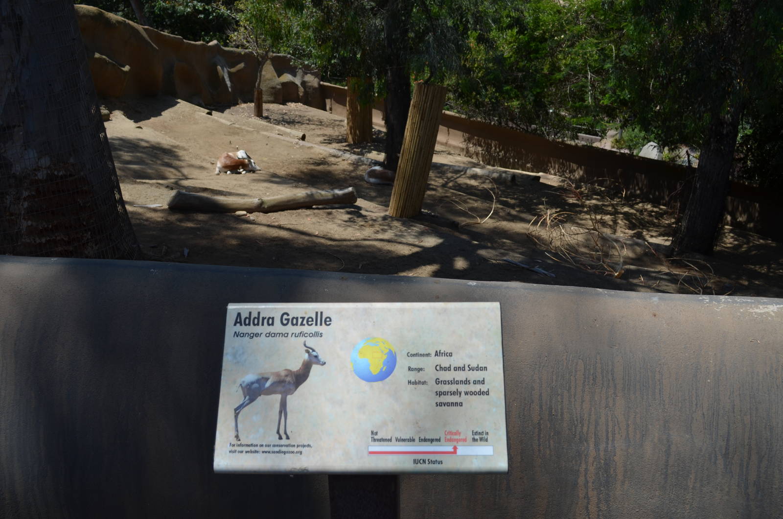 Addra Gazelle Yard and Signage
