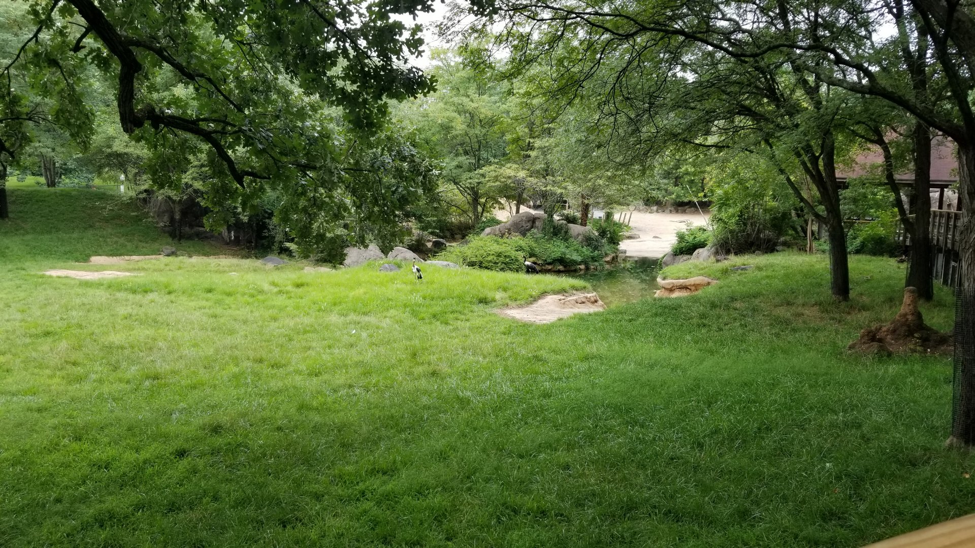 Addra/kudu exhibit, with view of rhino/zebra exhibit