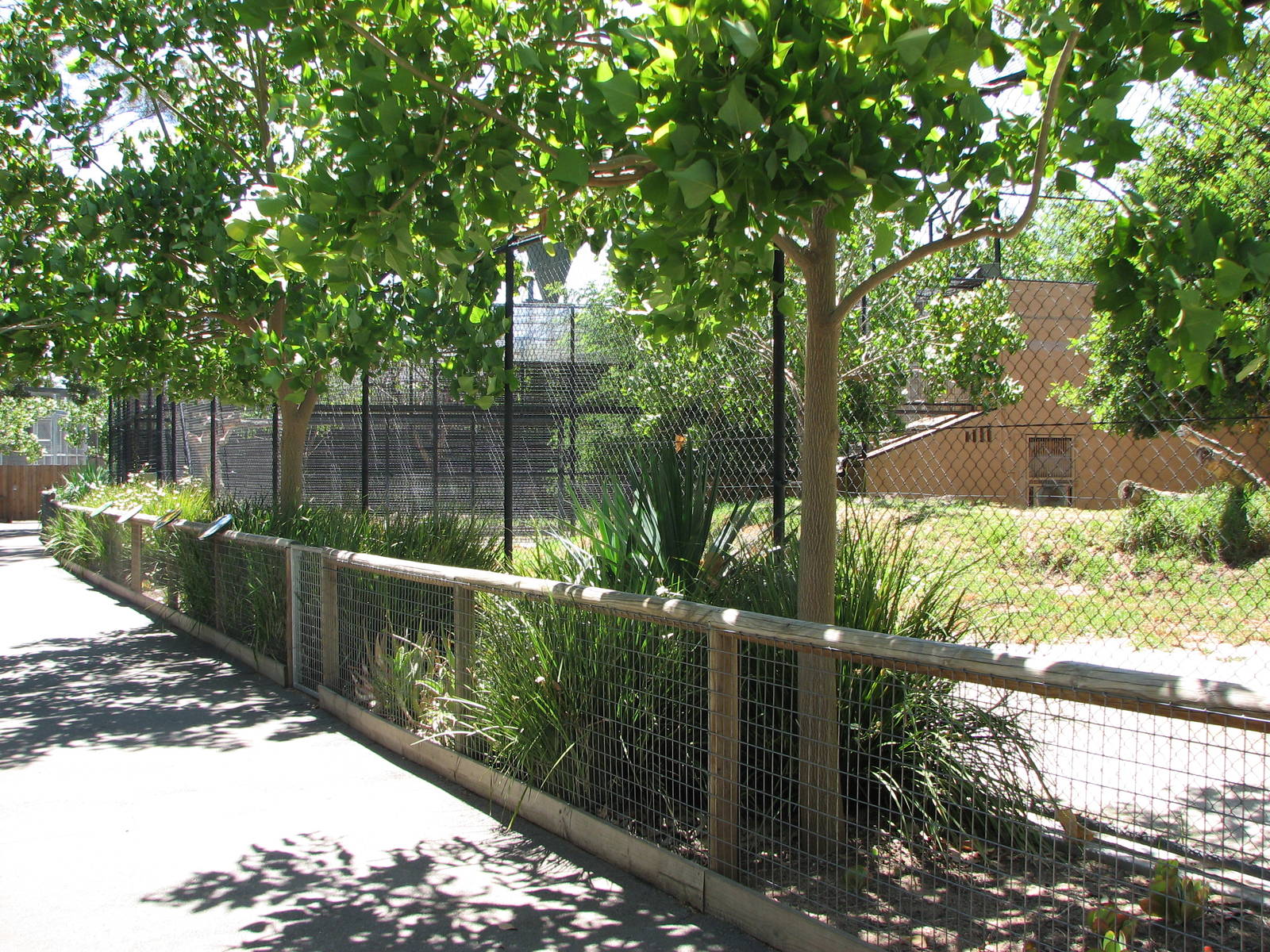 Adelaide Zoo 2008 - Alongside the African Lion enclosure