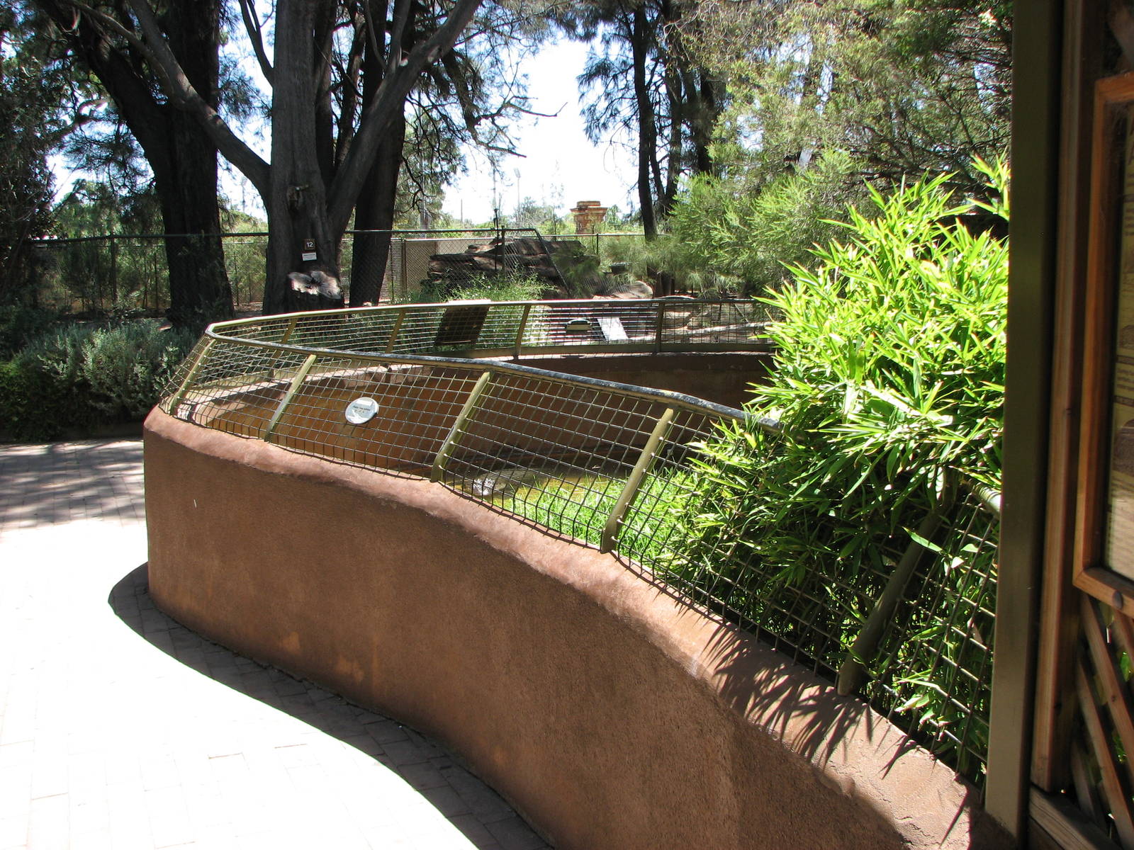 Adelaide Zoo 2008 - American Alligator exhibit at the Reptile House