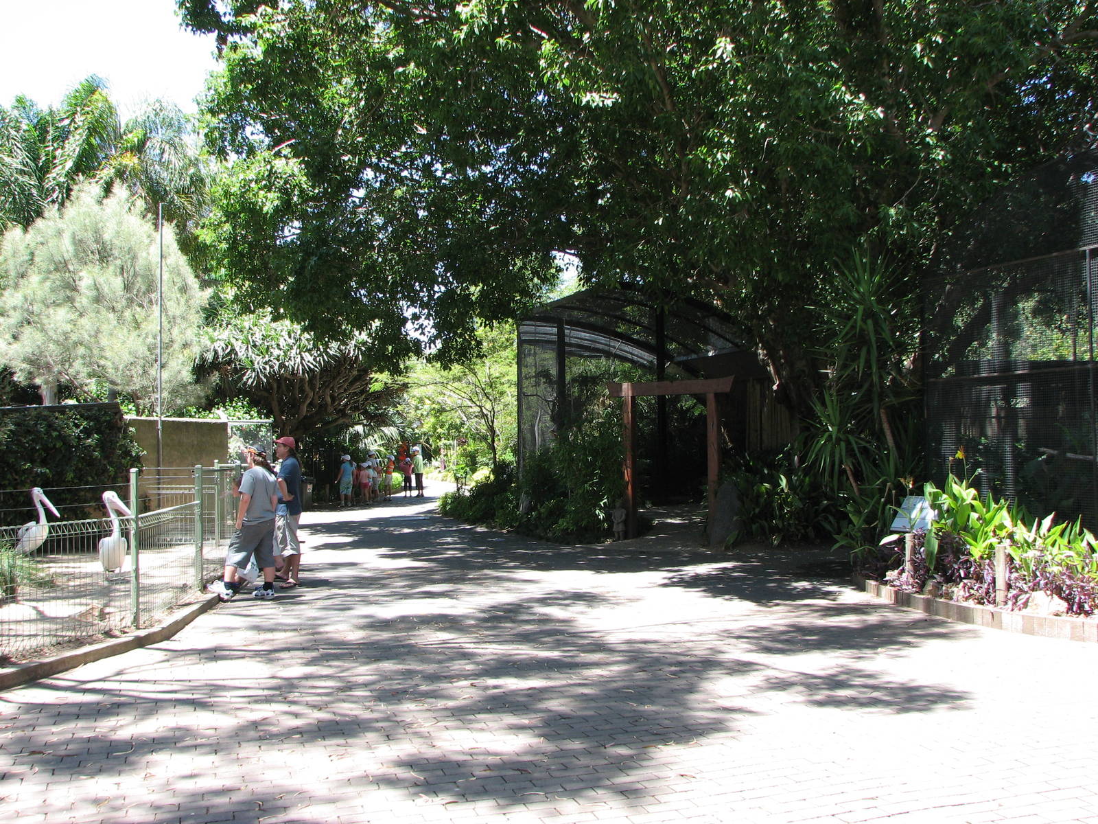 Adelaide Zoo 2008 - Aviaries and Pelican Pond