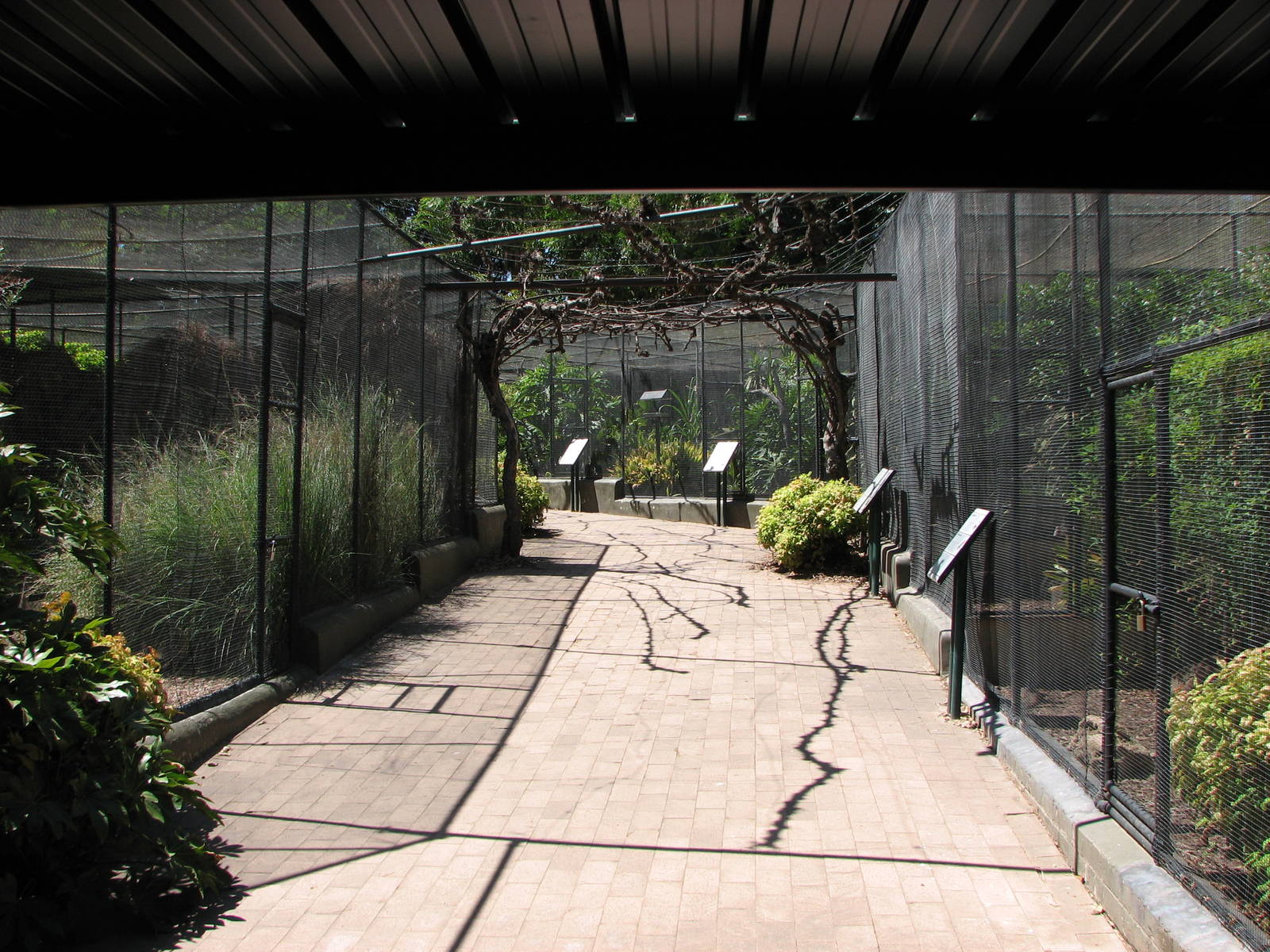 Adelaide Zoo 2008 - Aviaries next to the Nocturnal Animal House