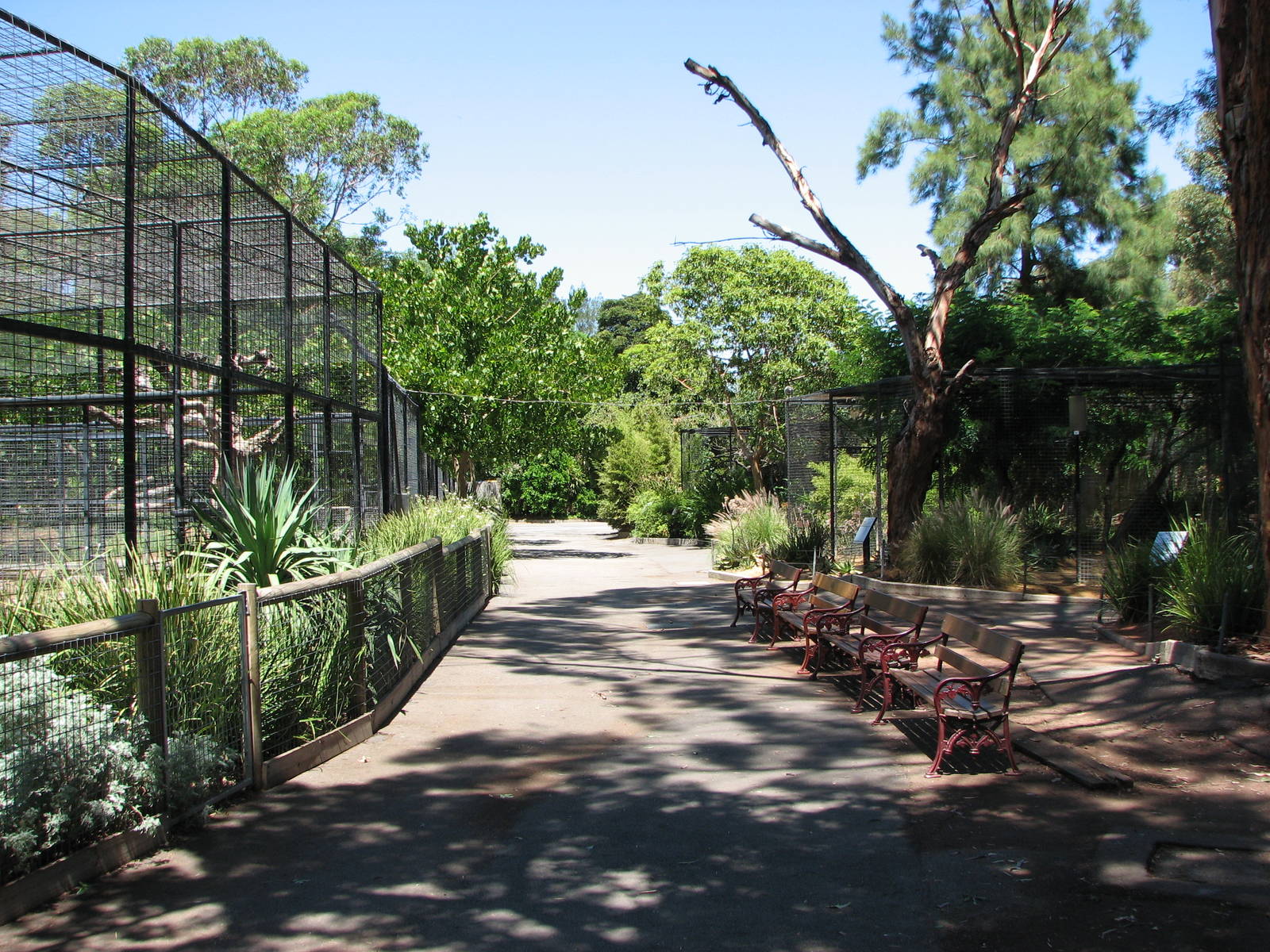 Adelaide Zoo 2008 - Carnivore enclosures