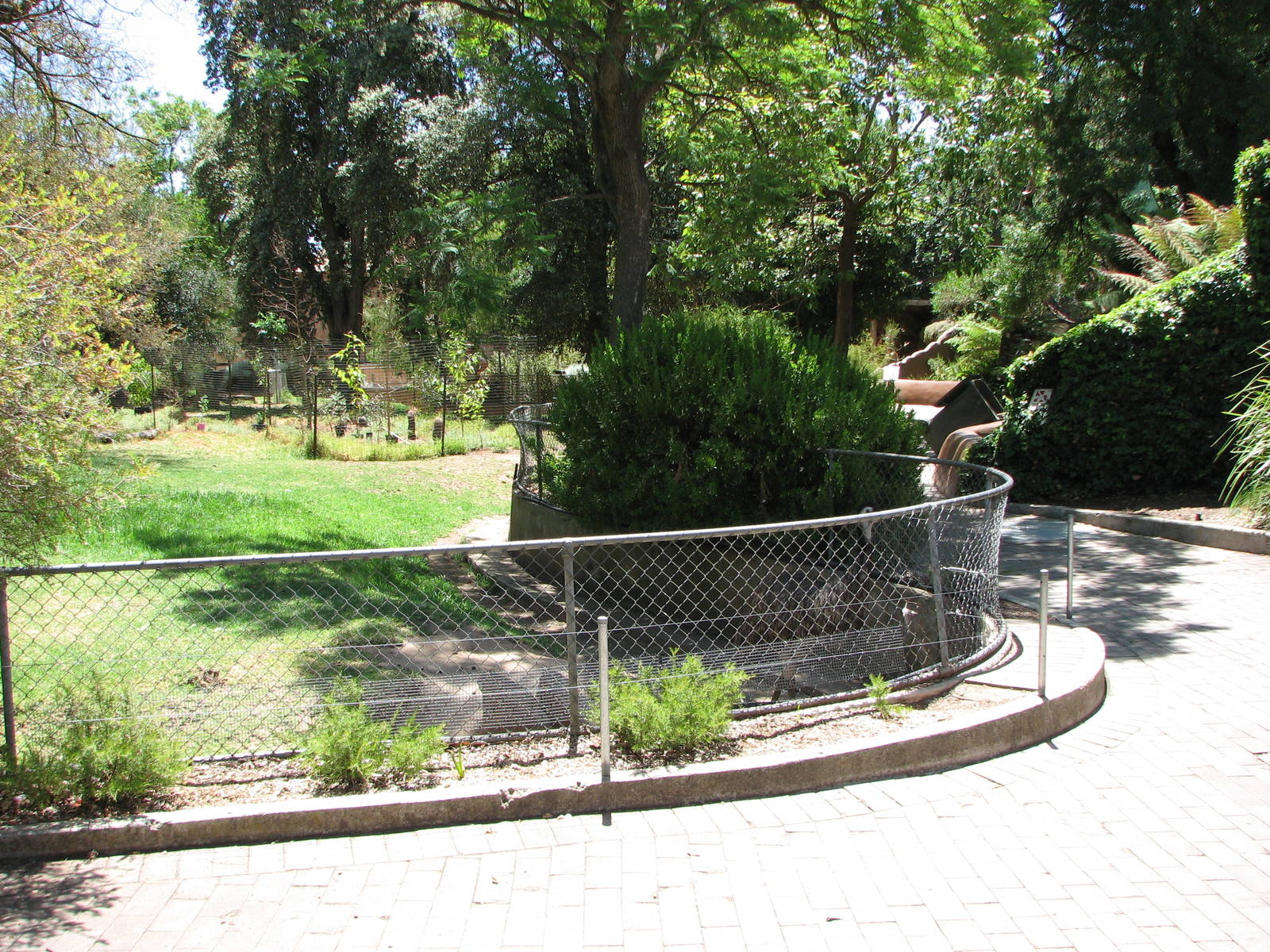 Adelaide Zoo 2008 - Emu exhibit in the Australian Habitat area?