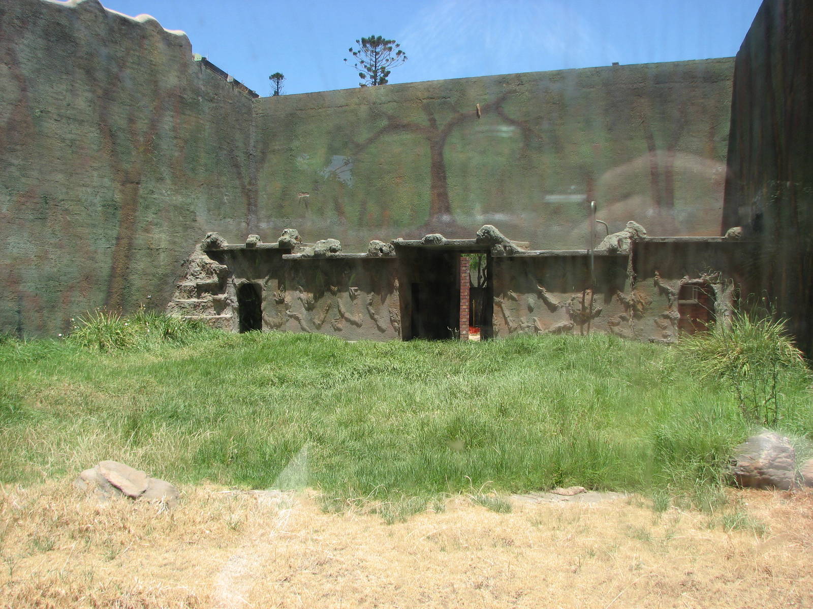 Adelaide Zoo 2008 - Former Chimpanzee exhibit?