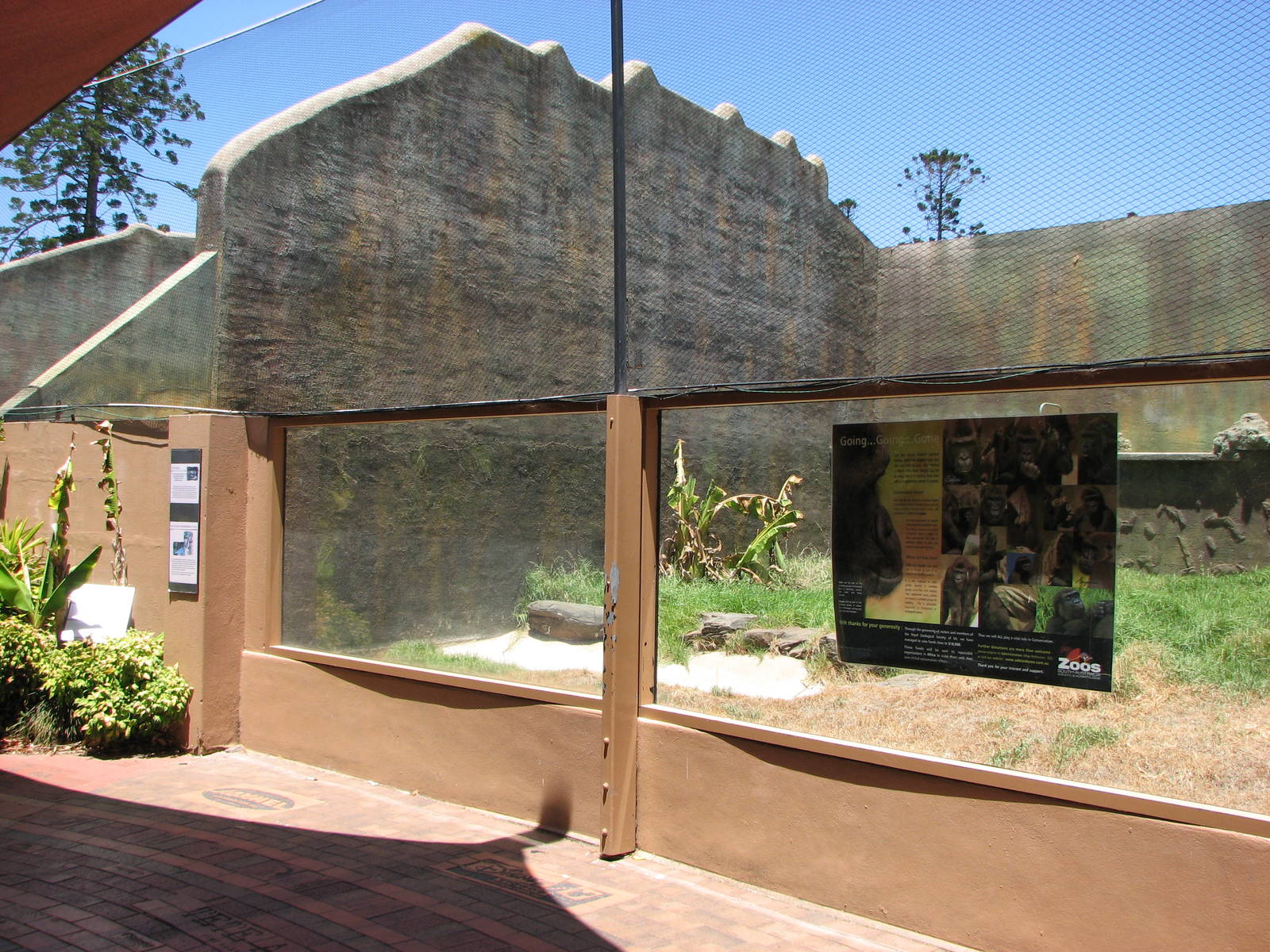 Adelaide Zoo 2008 - Former Gorilla exhibit