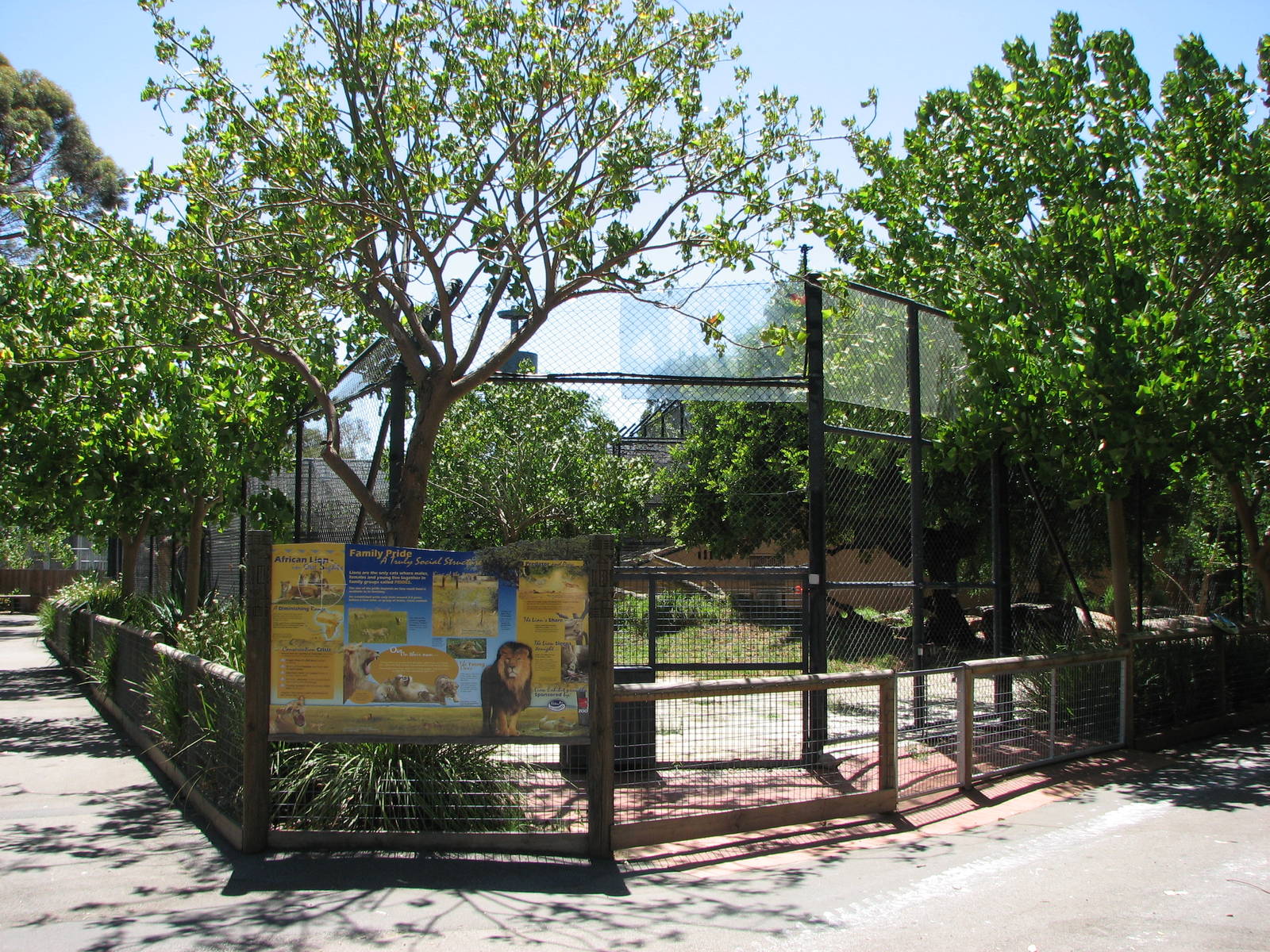 Adelaide Zoo 2008 - Front of the African Lion exhibit