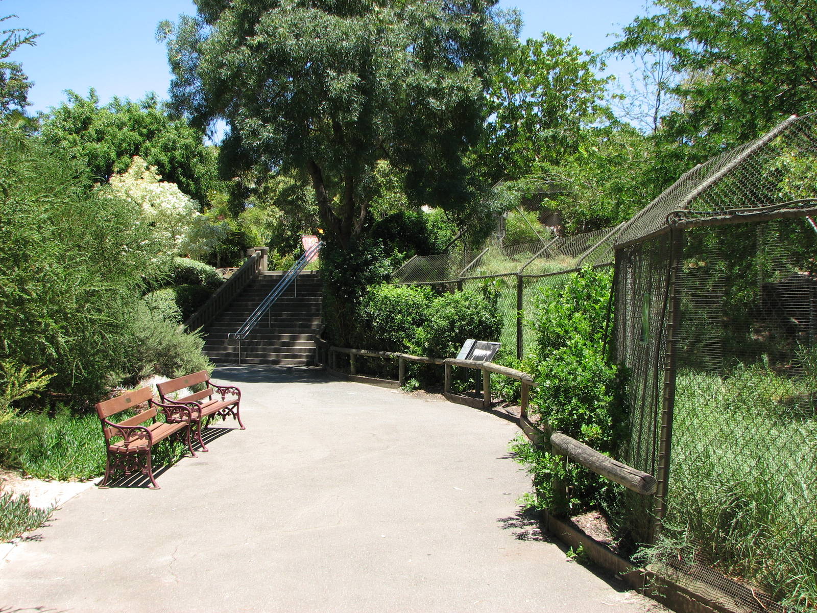 Adelaide Zoo 2008 - Front of the African Wild Dog exhibit