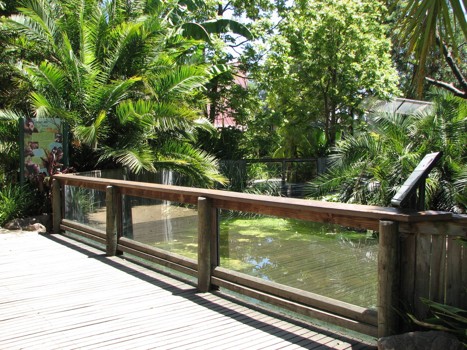 Adelaide Zoo 2008 - Front of the Mandrill exhibit