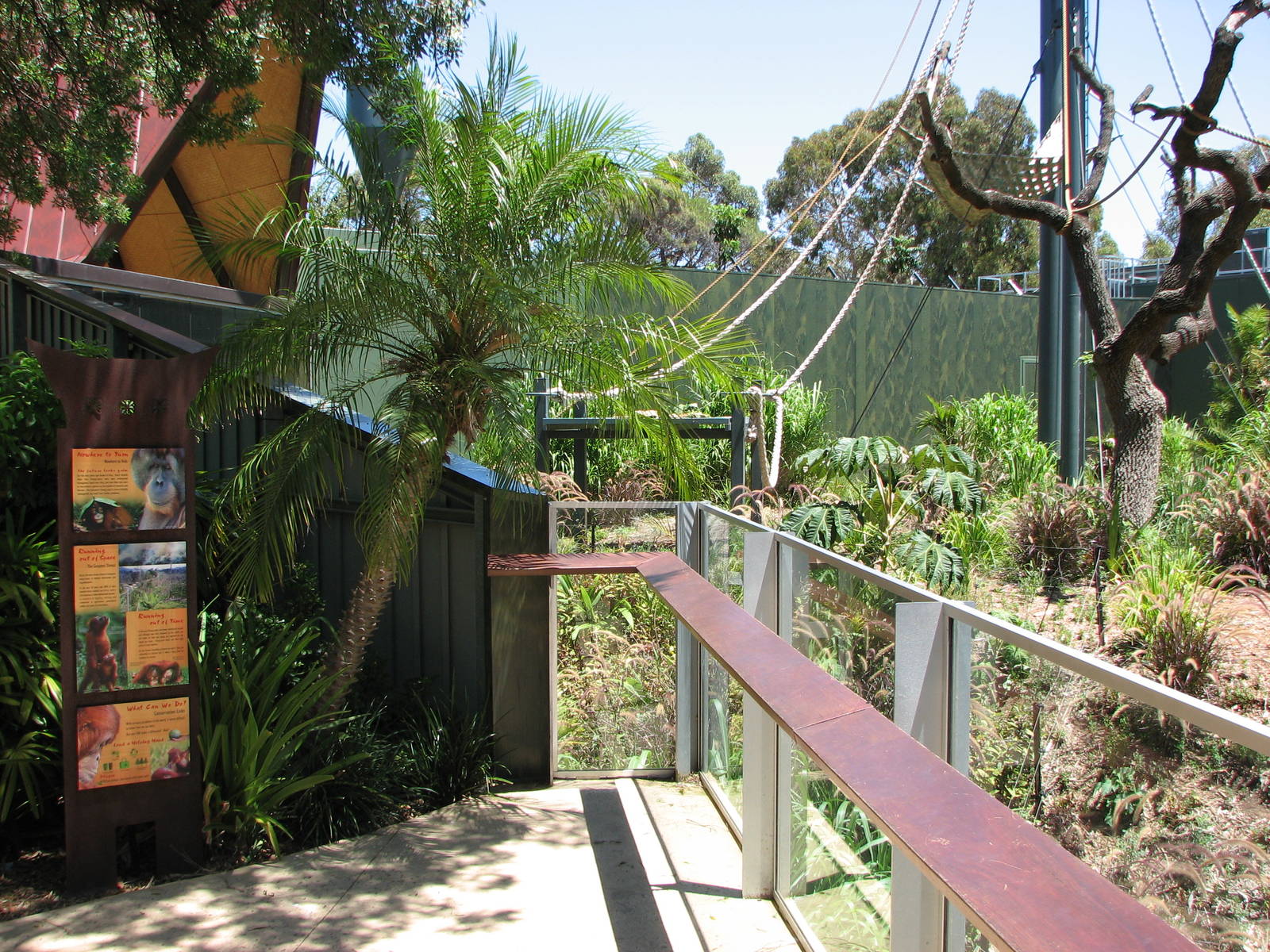 Adelaide Zoo 2008 - Front of the Sumatran Orangutan exhibit