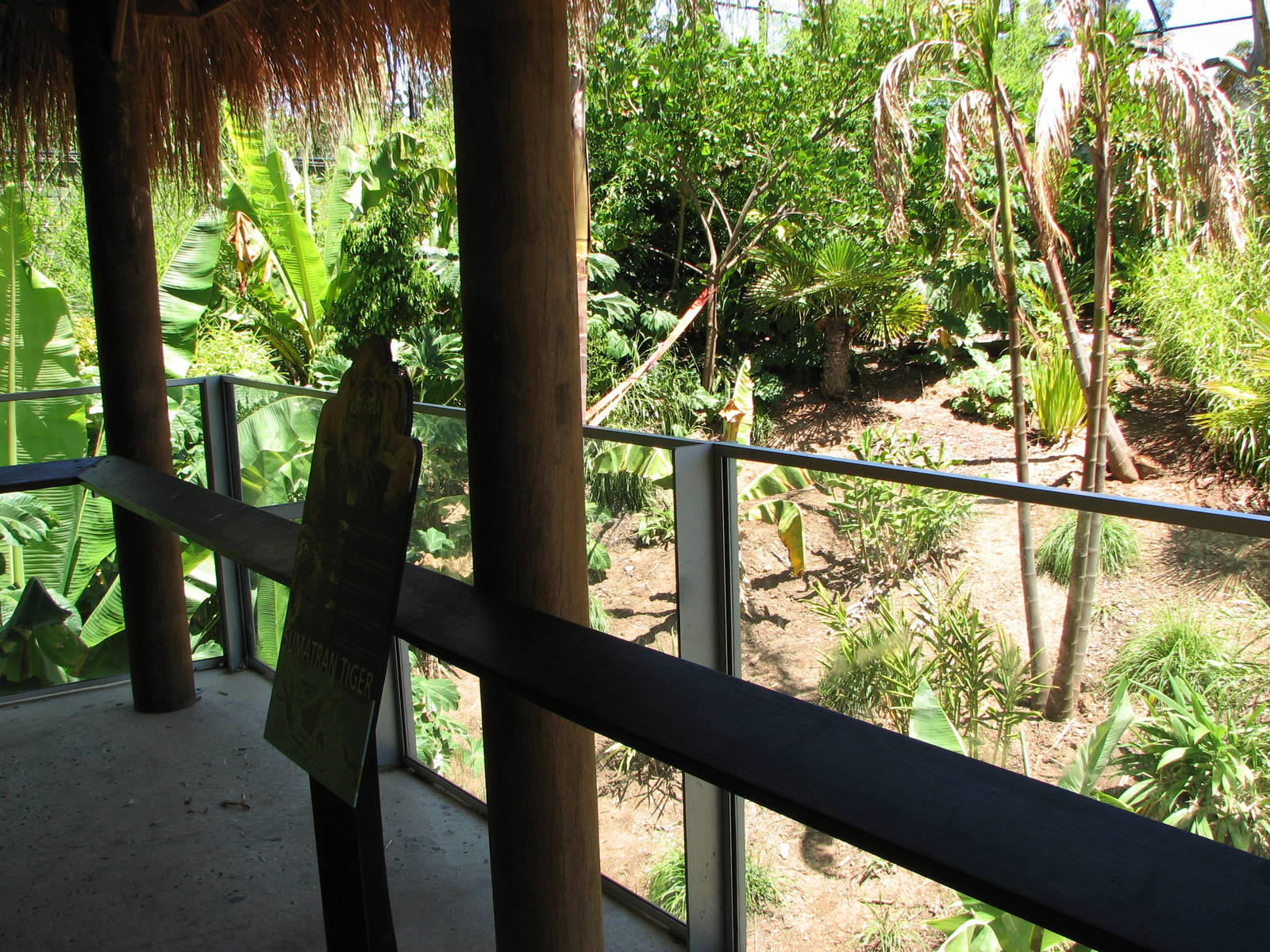 Adelaide Zoo 2008 - Front of the Sumatran Tiger exhibit