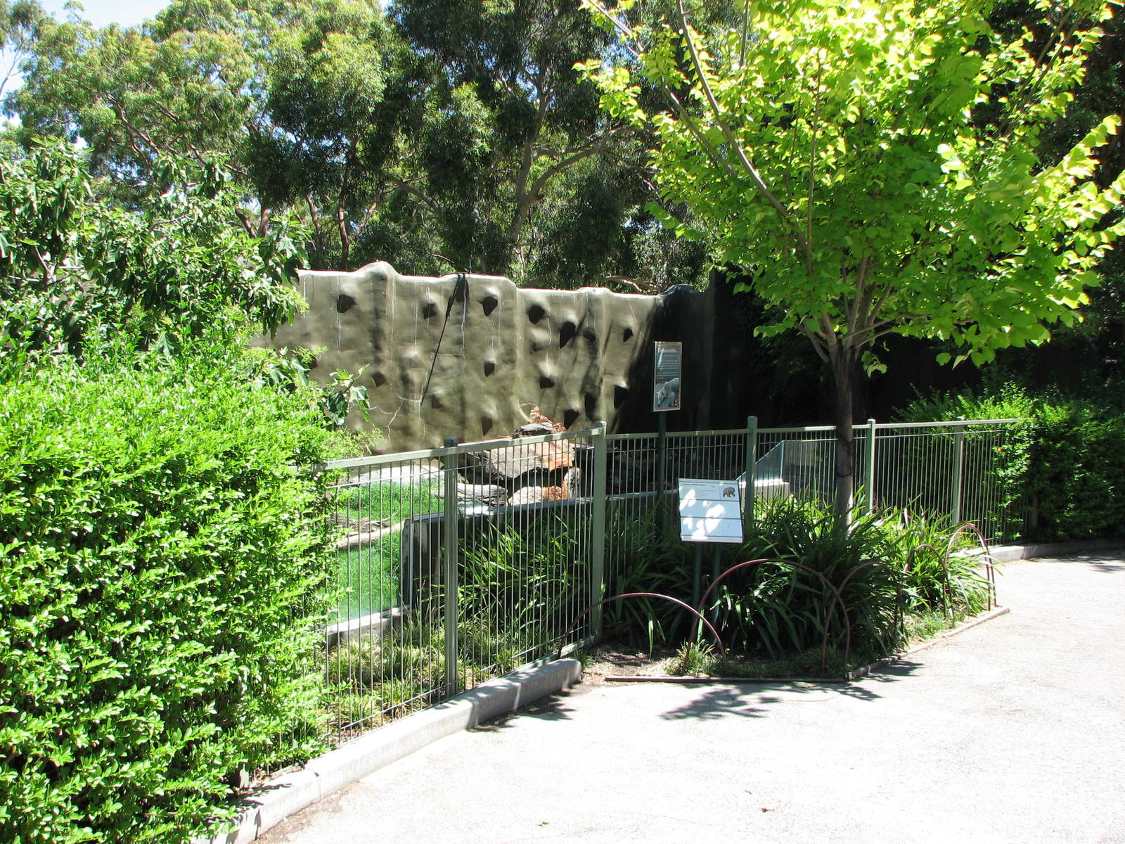 Adelaide Zoo 2008 - Front of the Syrian Brown Bear exhibit