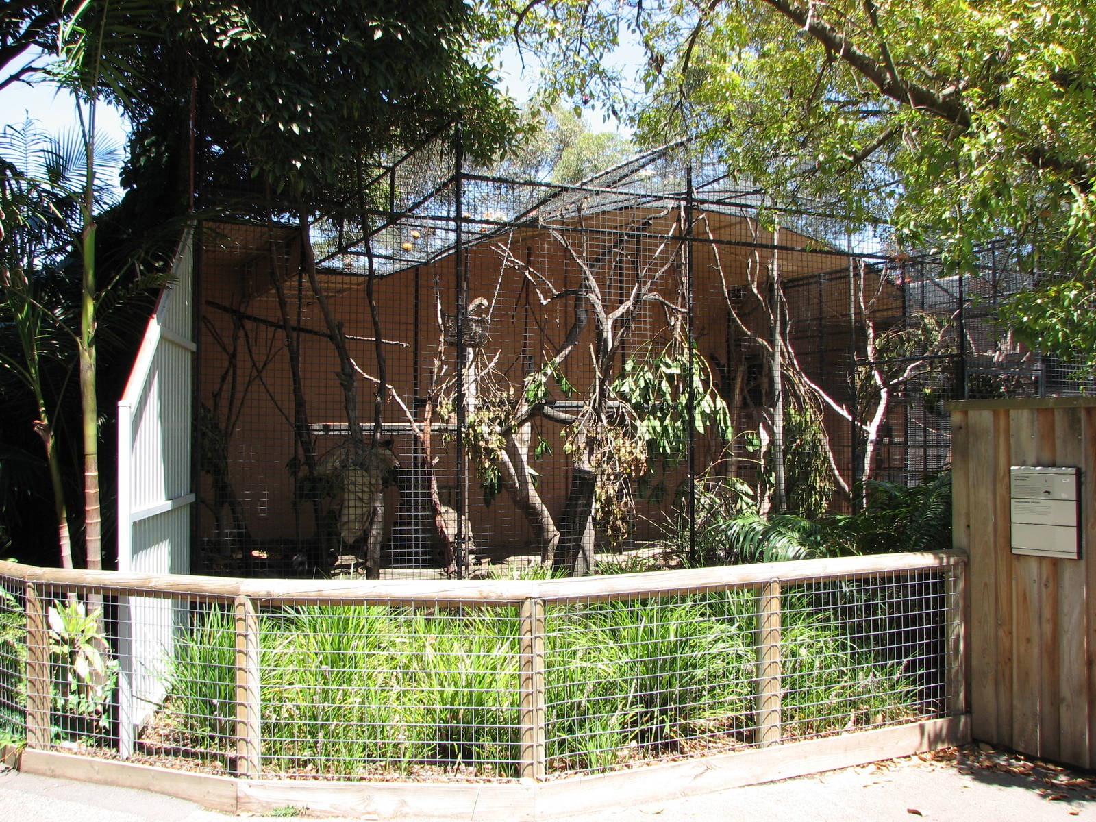 Adelaide Zoo 2008 - Lion-tailed Macaque enclosure