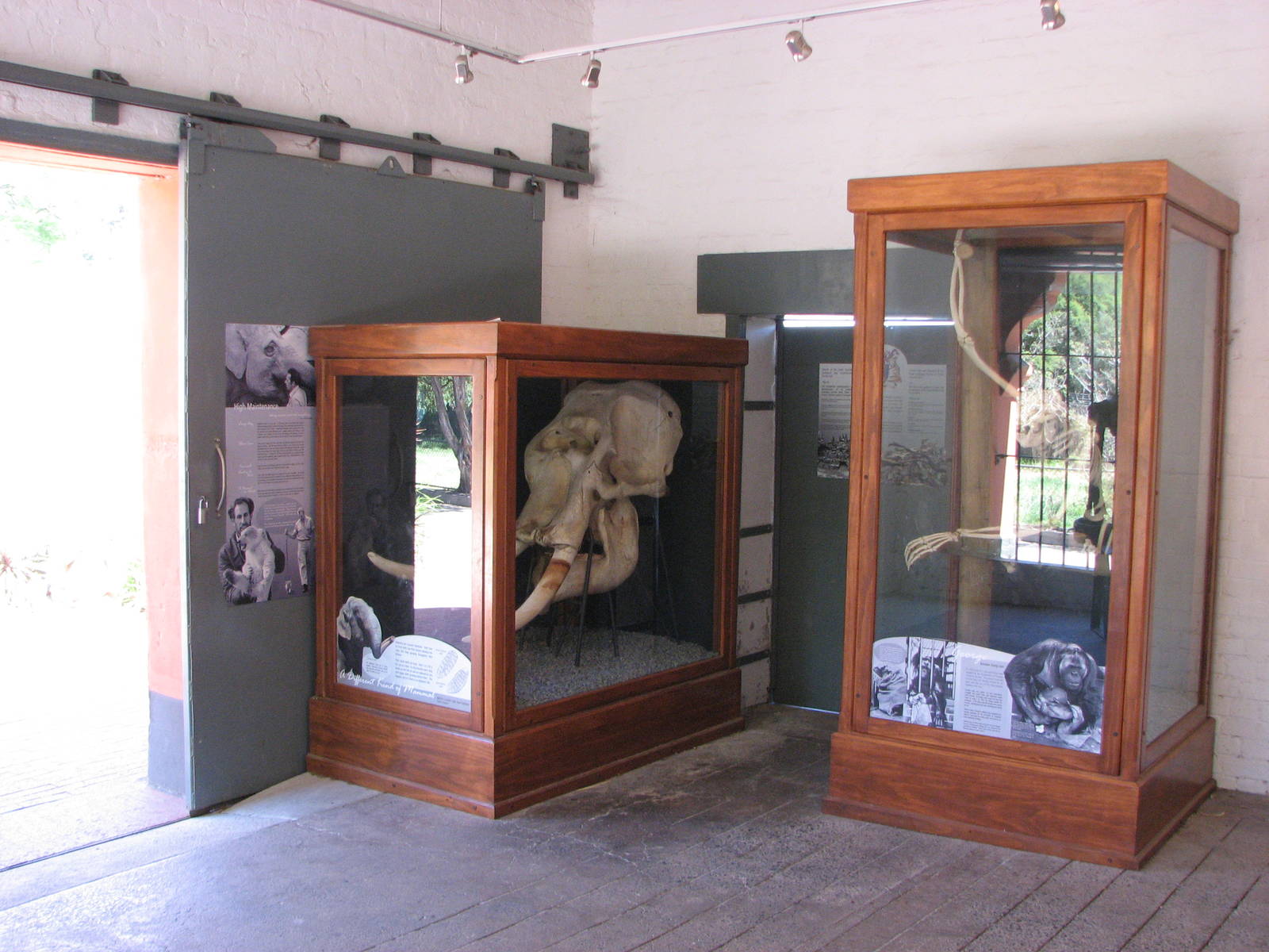 Adelaide Zoo 2008 - Museum about the zoo and its past elephant keeping