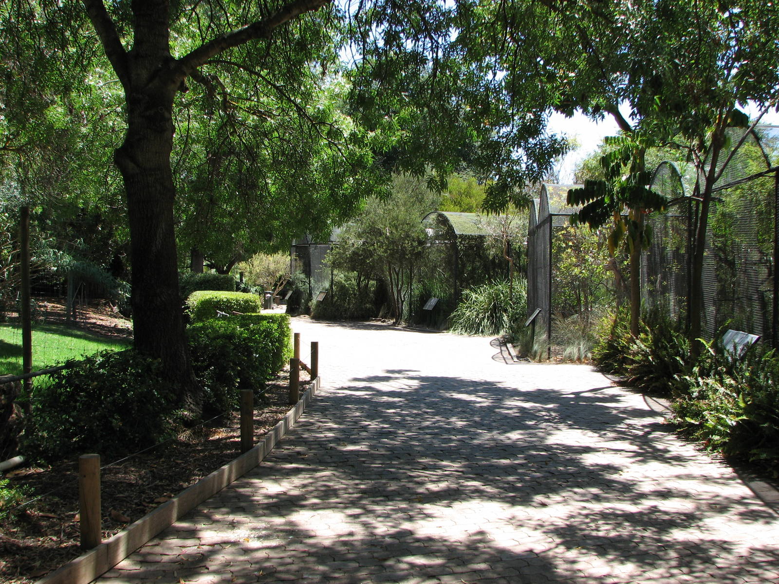 Adelaide Zoo 2008 - Pathway and aviaries